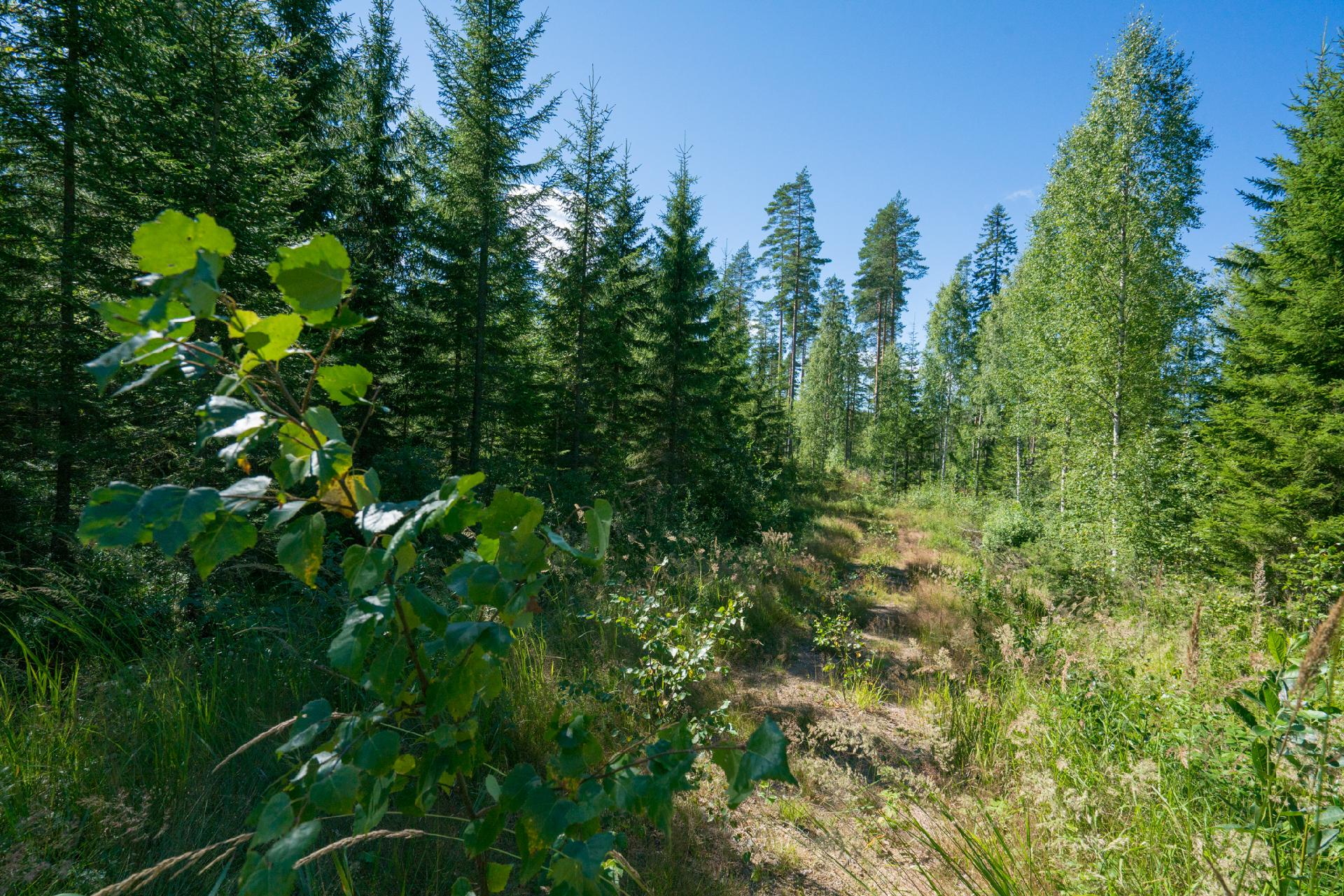 Jusseronsalontie 420, Keuruu, Keuruu