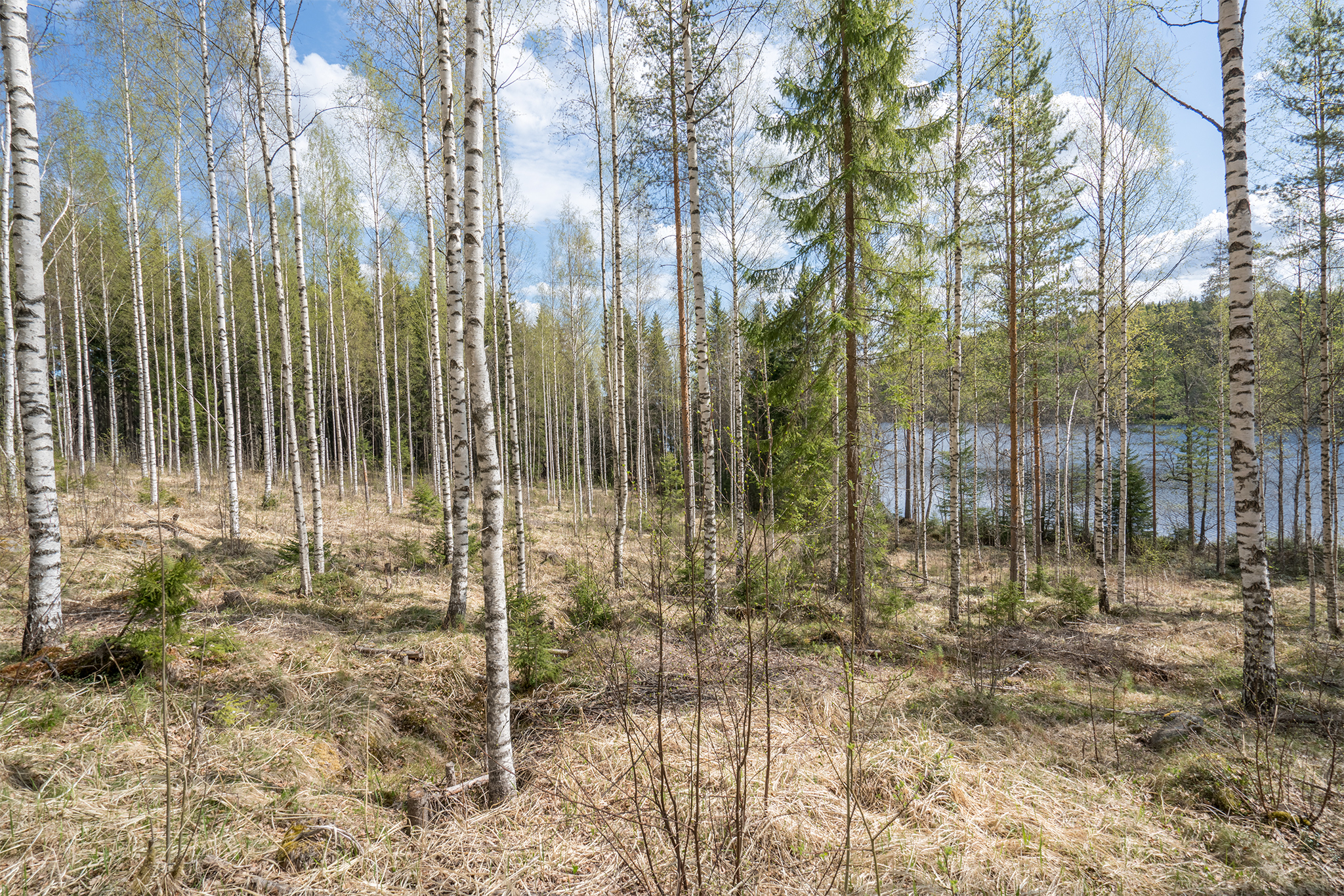 Piilontie 200, Suluslahti, Mänttä-Vilppula