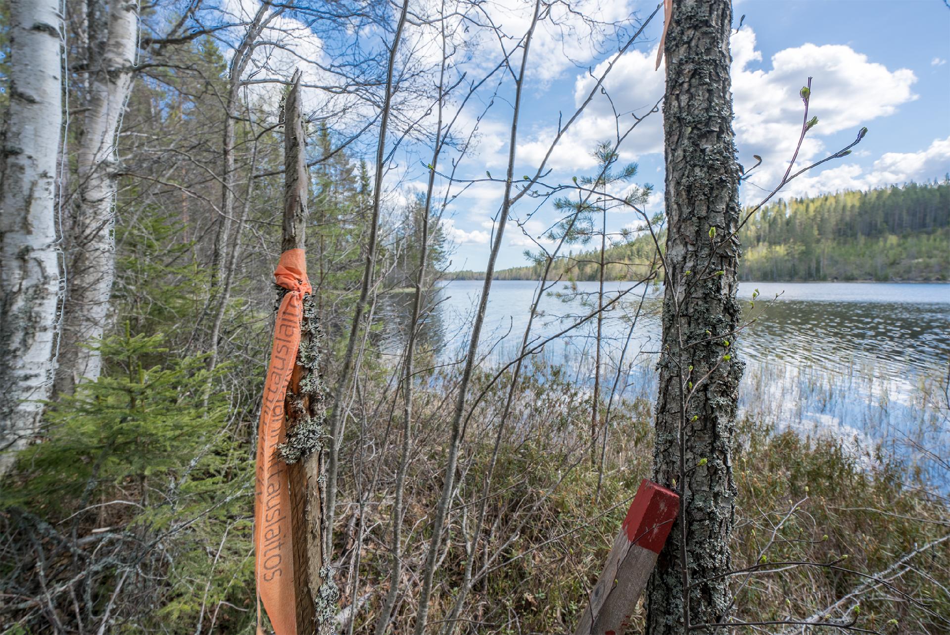 Piilontie 200, Suluslahti, Mänttä-Vilppula