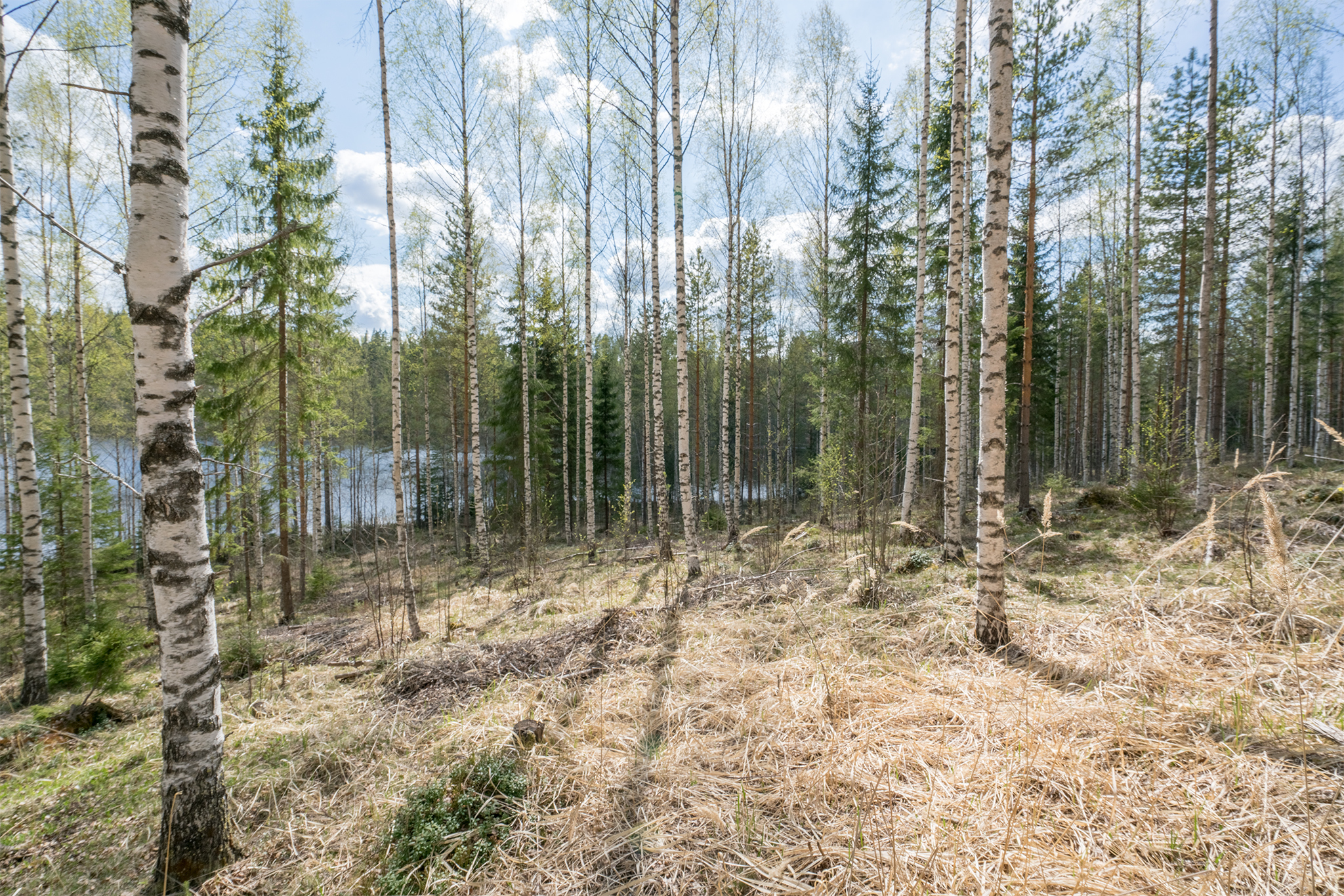 Piilontie 200, Suluslahti, Mänttä-Vilppula