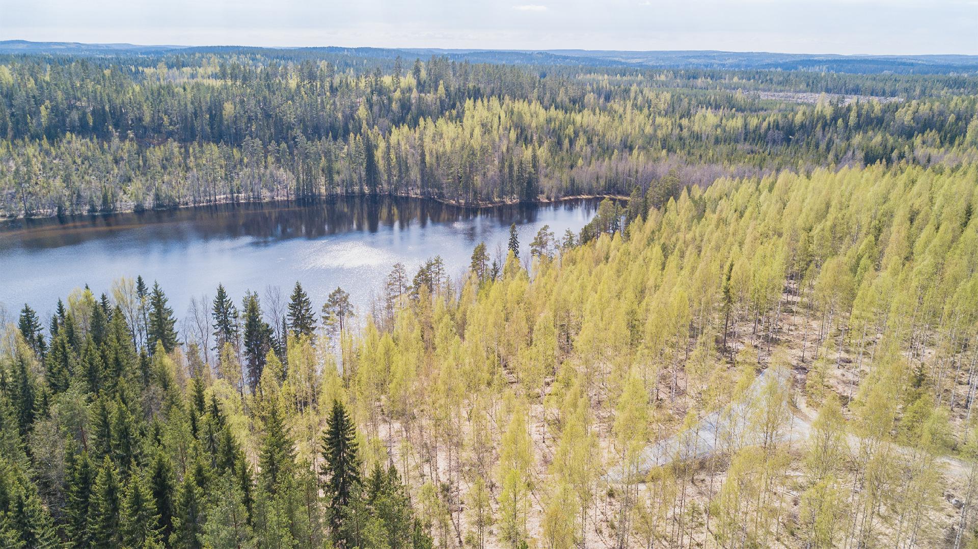 Piilontie 200, Suluslahti, Mänttä-Vilppula