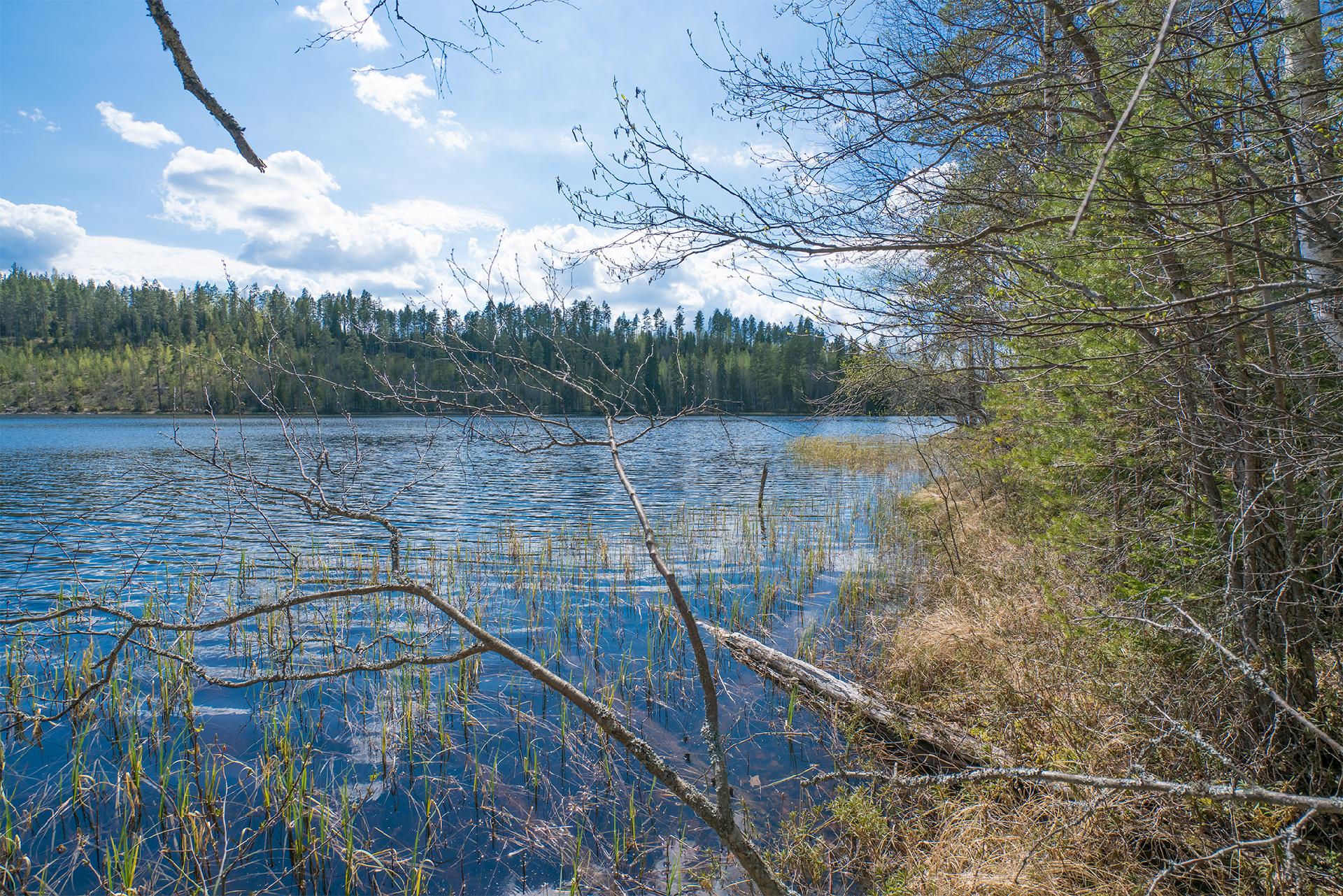 Piilontie 200, Suluslahti, Mänttä-Vilppula