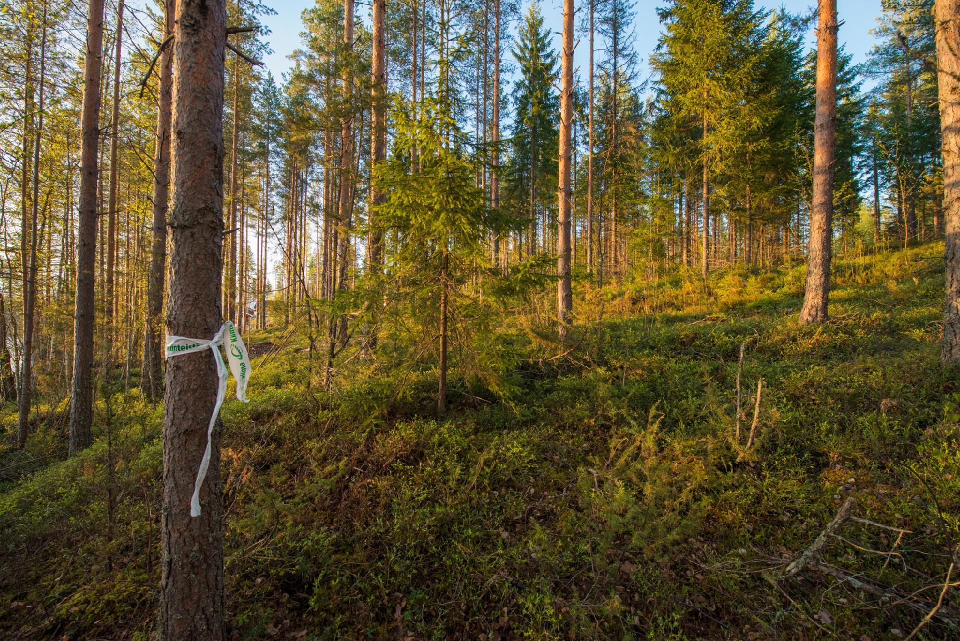 Kettulahdentie 24, Keuruu, Keuruu