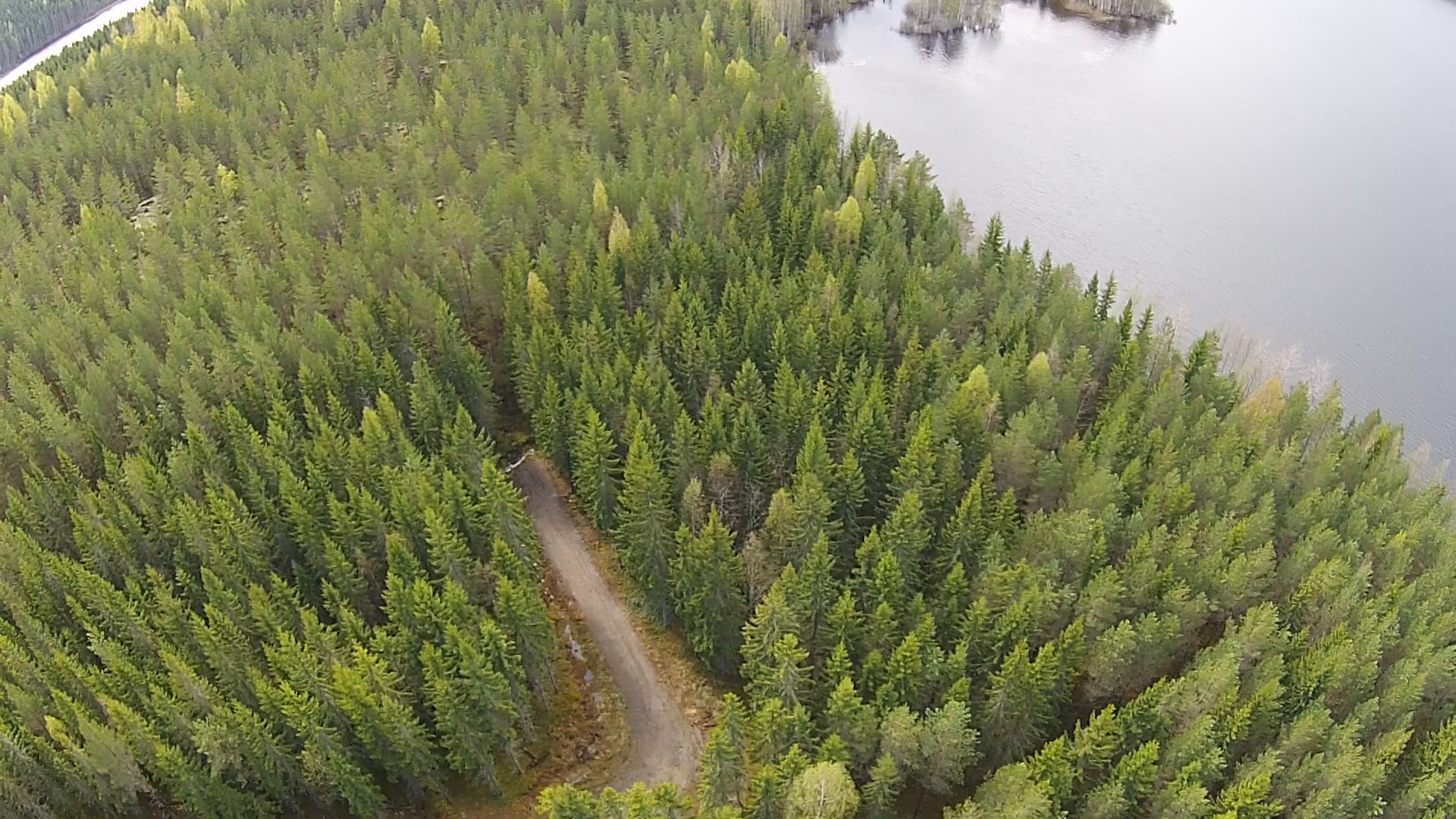 Peltoniementie 200, Kolho, Mänttä-Vilppula