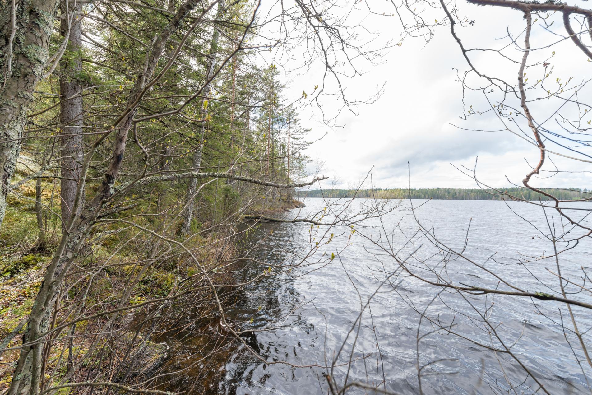 Peltoniementie 208, Kolho, Mänttä-Vilppula