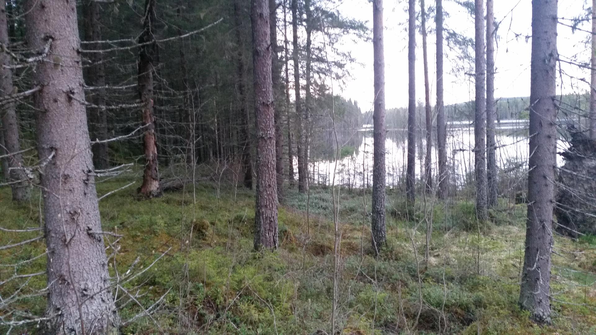 Ekolantie 238, Keuruu, Keuruu