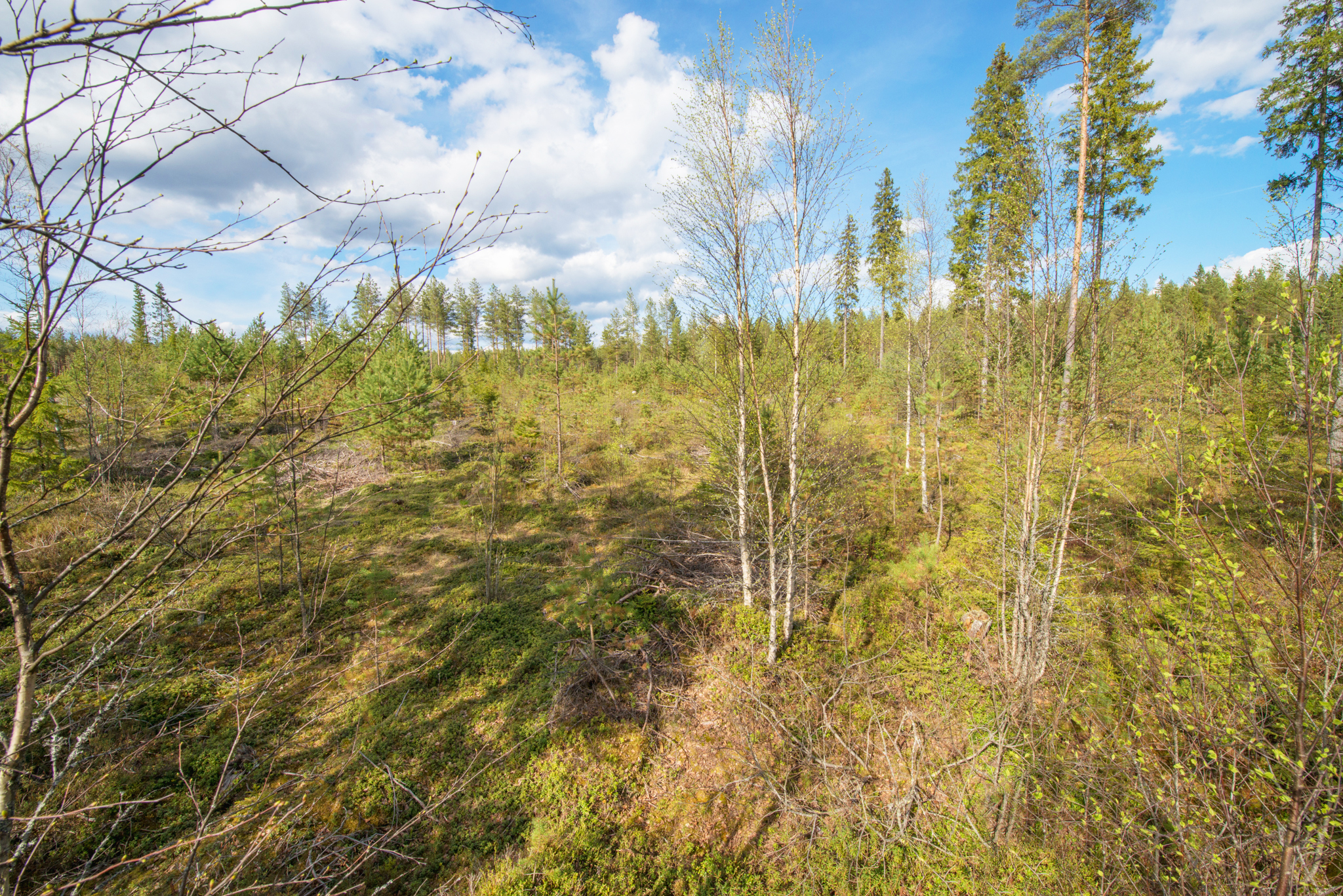 Havujärventie 229, Keuruu, Keuruu
