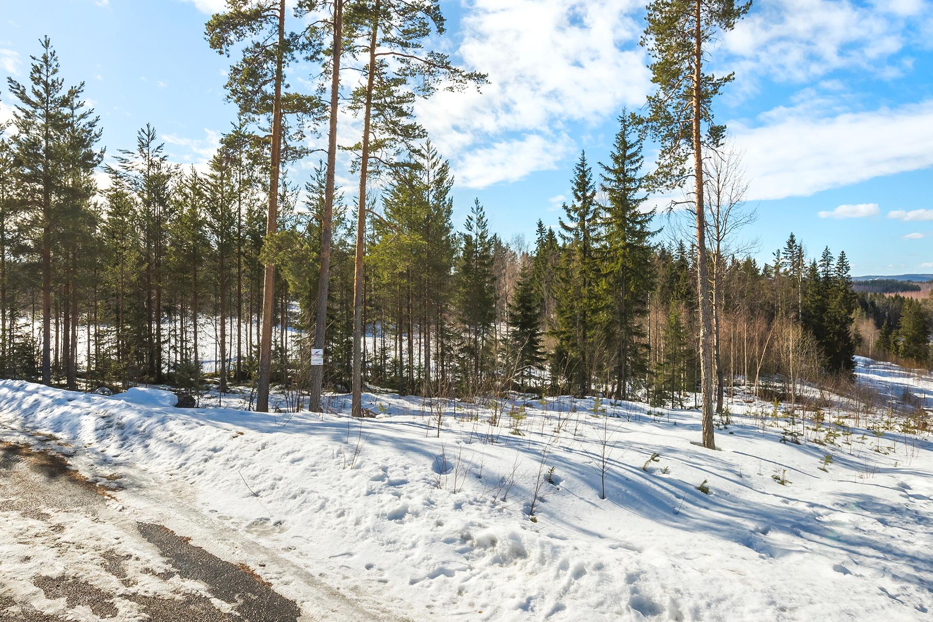 Golfarinkunnas 20, Himos, Jämsä