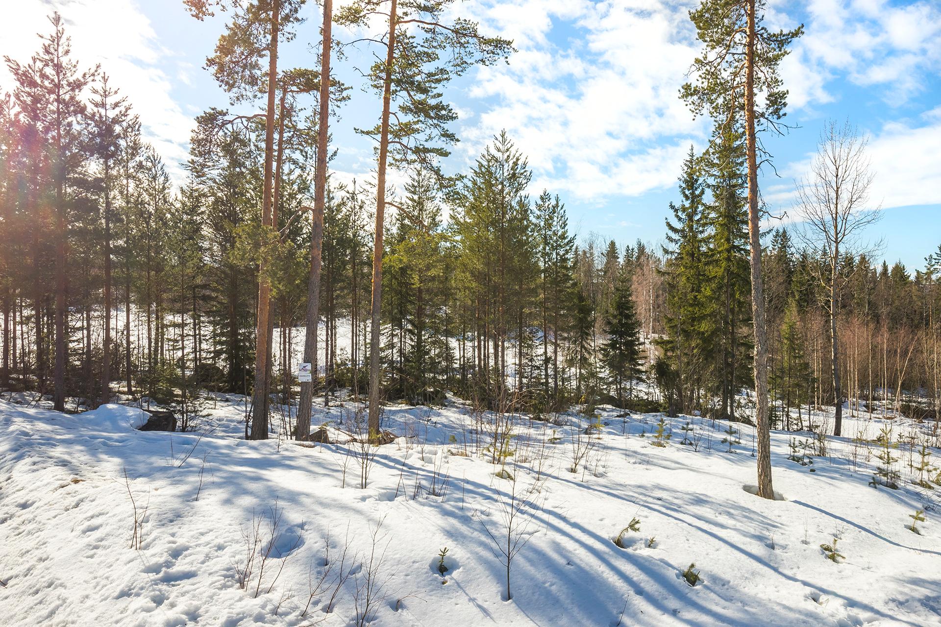 Golfarinkunnas 20, Himos, Jämsä