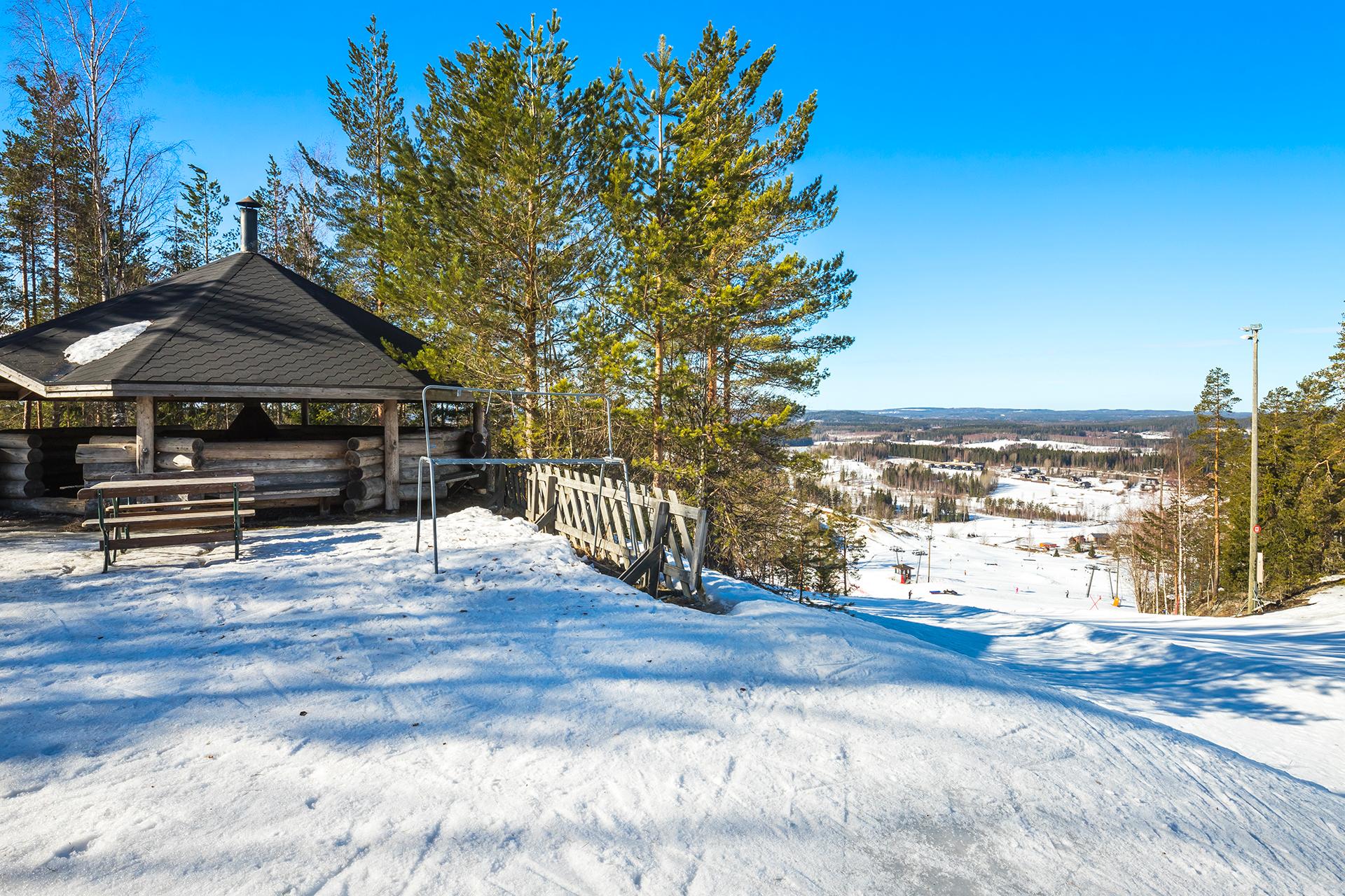 Golfarinkunnas 20, Himos, Jämsä