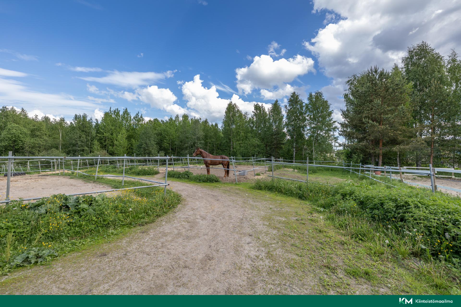 Ratsutilantie 1, Mikkeli