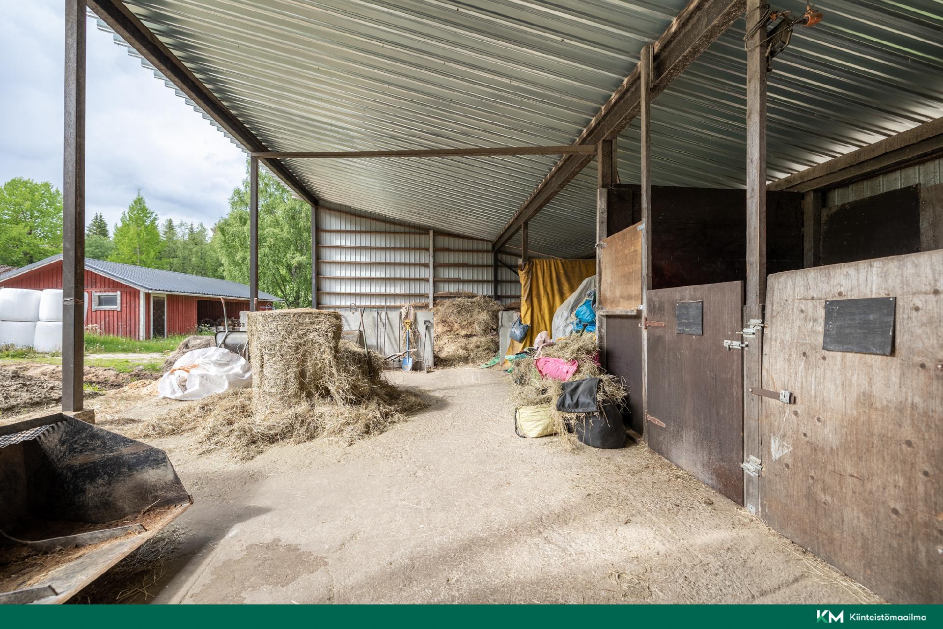 Ratsutilantie 1, Mikkeli