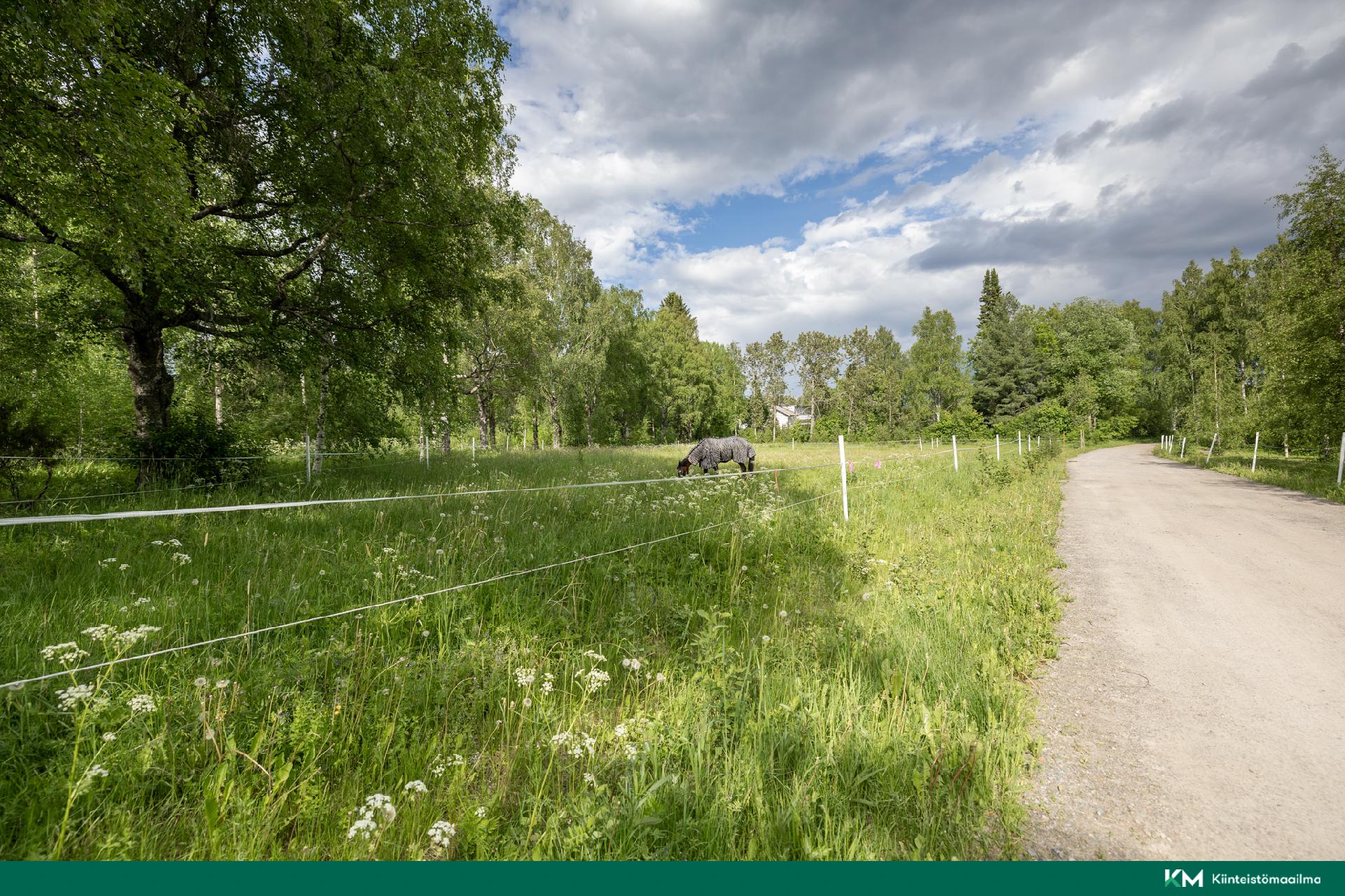 Ratsutilantie 1, Mikkeli