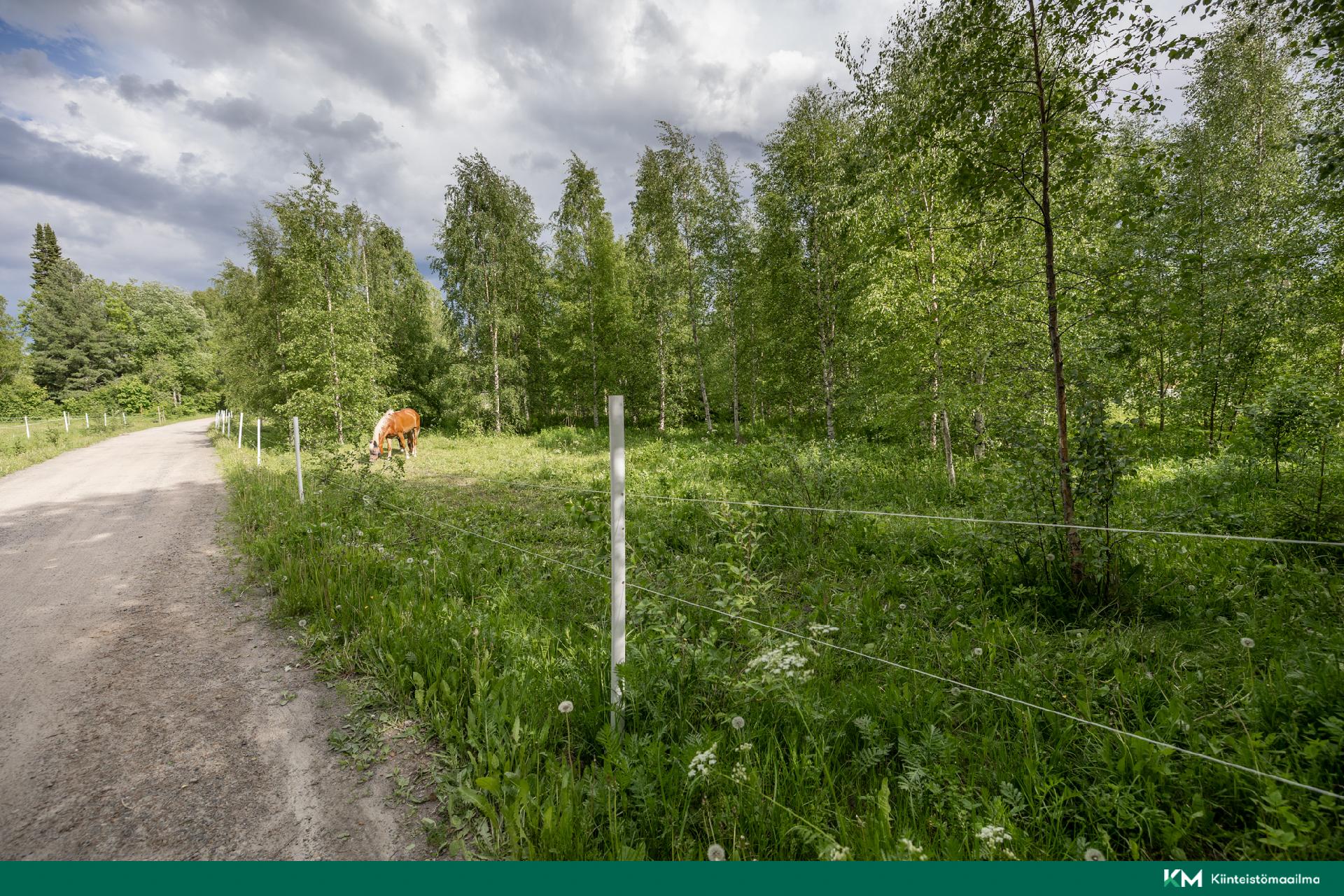 Ratsutilantie 1, Mikkeli