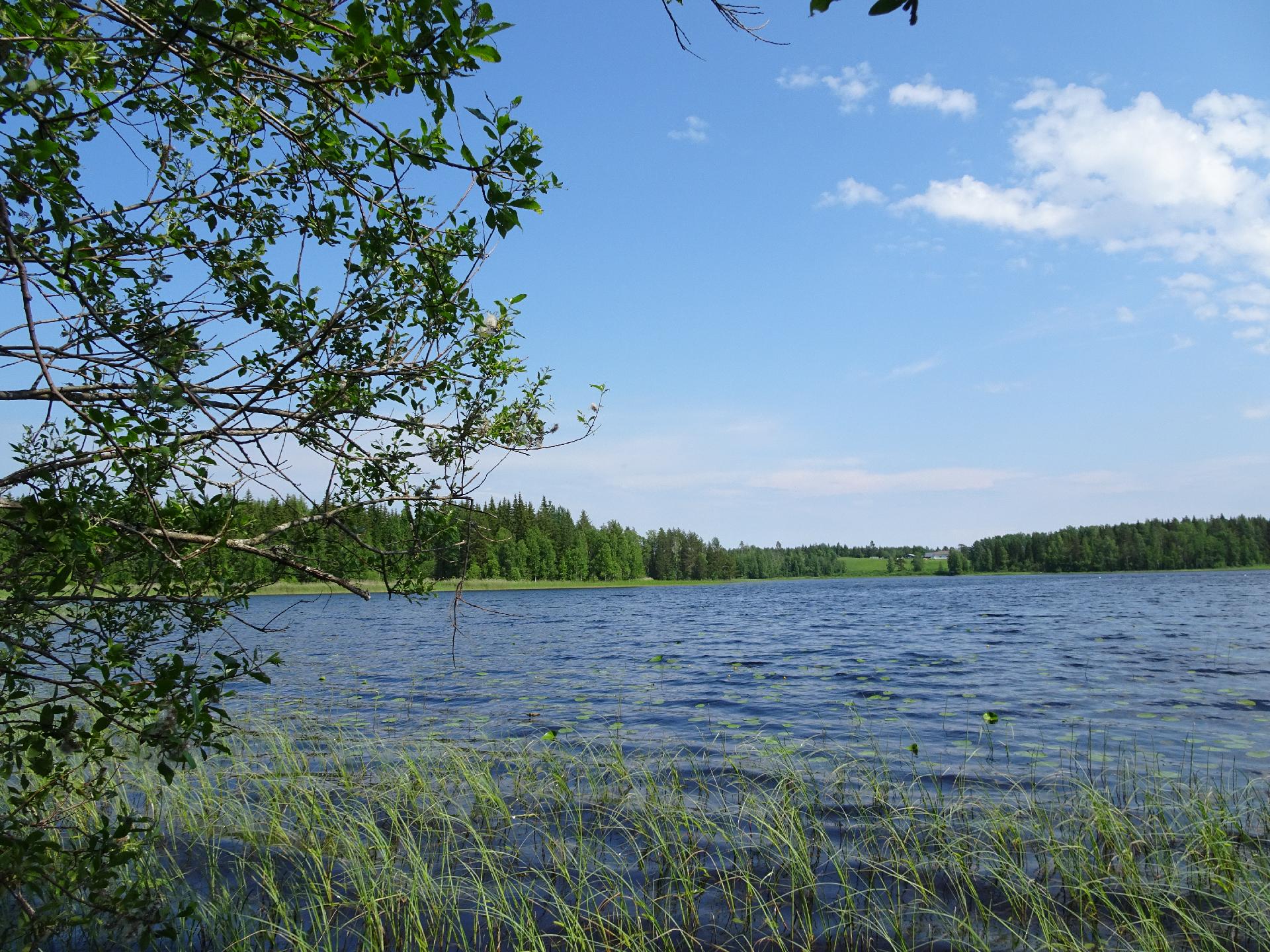 järvinäkymä