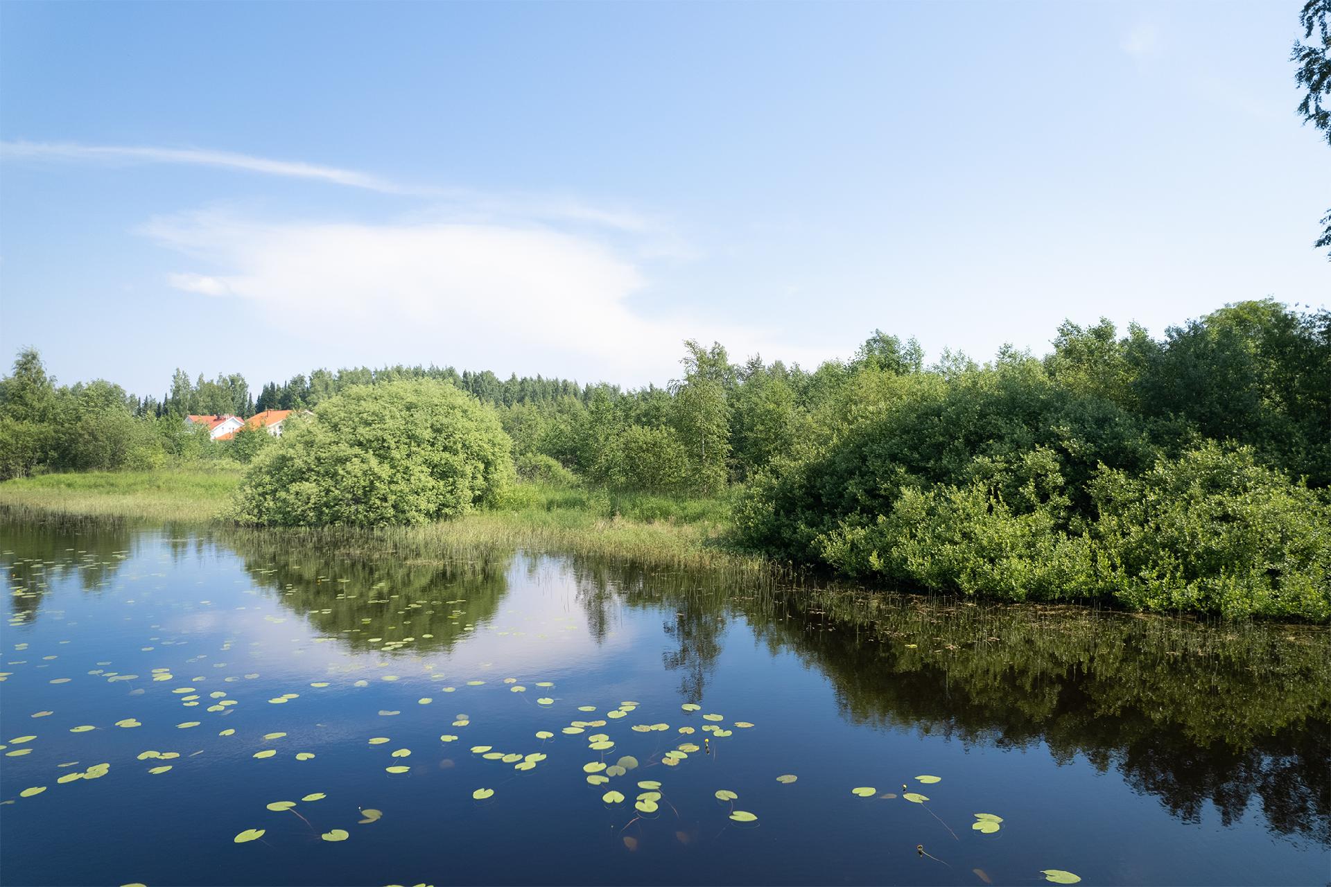 Keikanniementie 1, Keikanniemi, Mänttä-Vilppula
