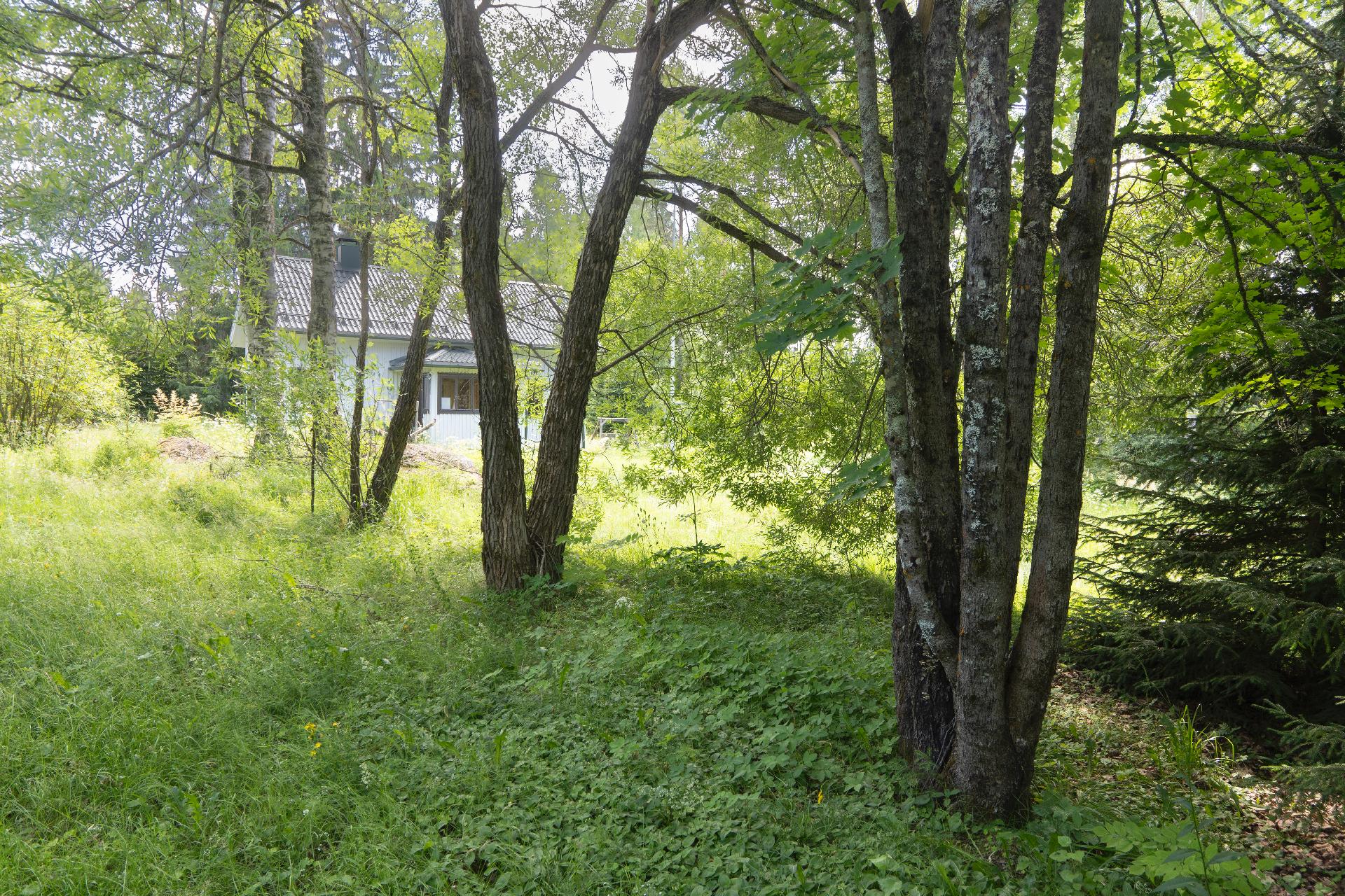 Vanhamäentie 34, Vanhamäki, Mikkeli