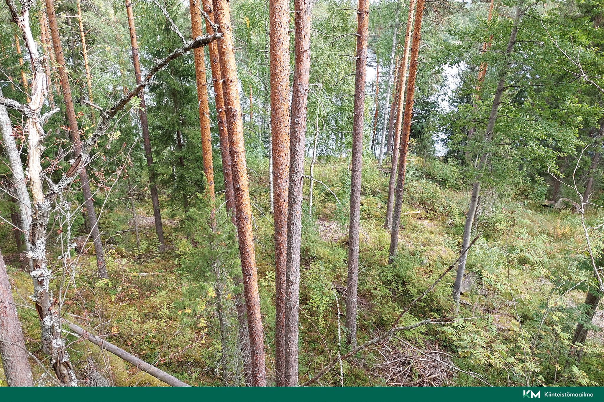 Kannuslahdentie 332, Juva