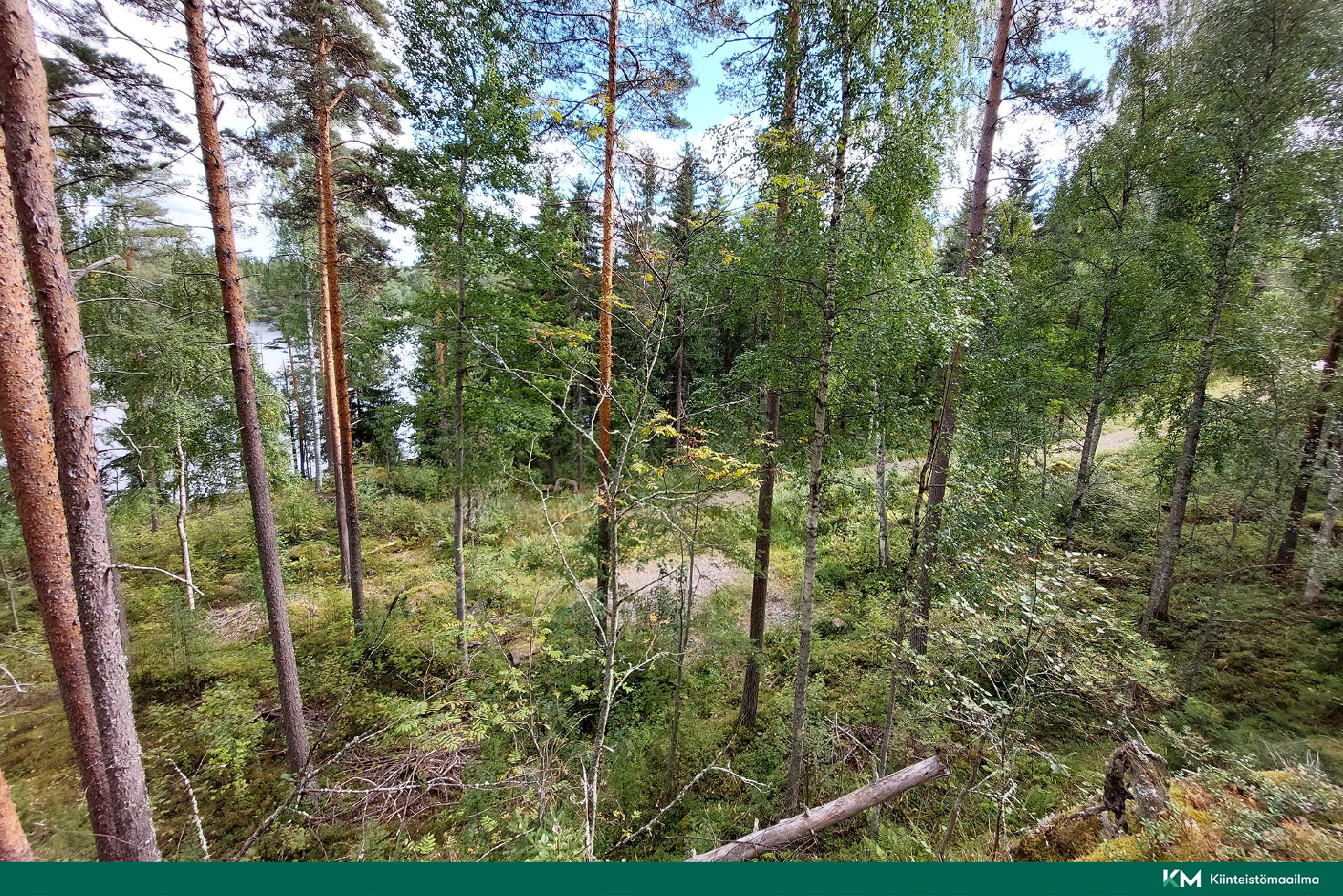 Kannuslahdentie 330, Juva