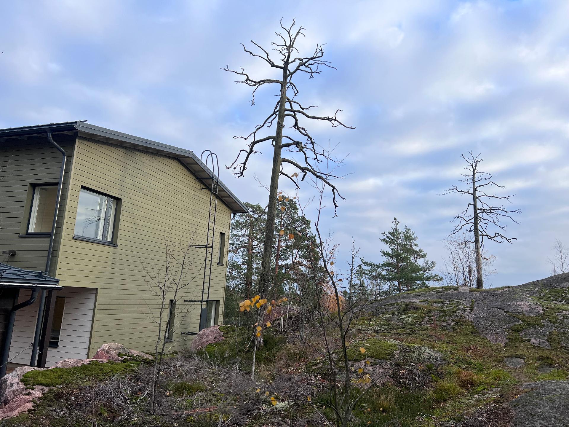 Upea luonto taloyhtiön tontilla