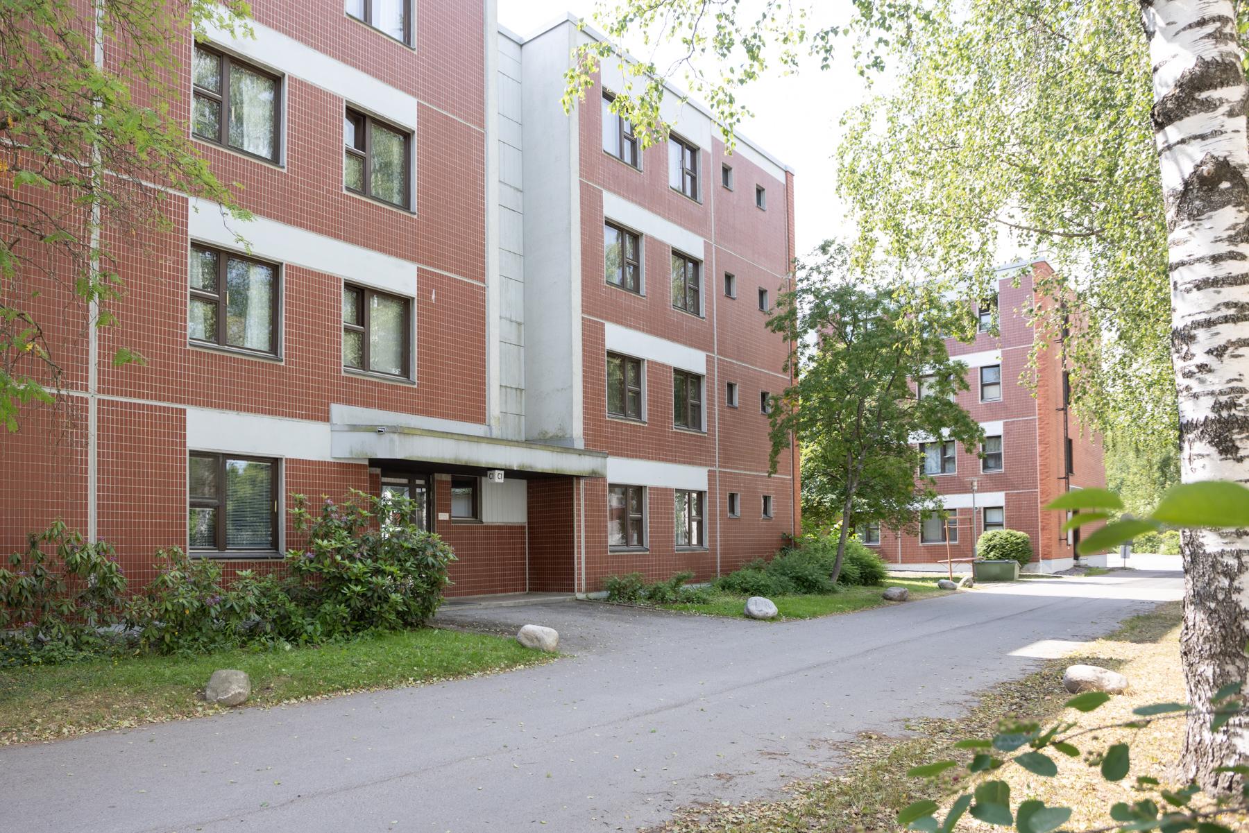 Sisäänkäynti (vehreään aikaan)