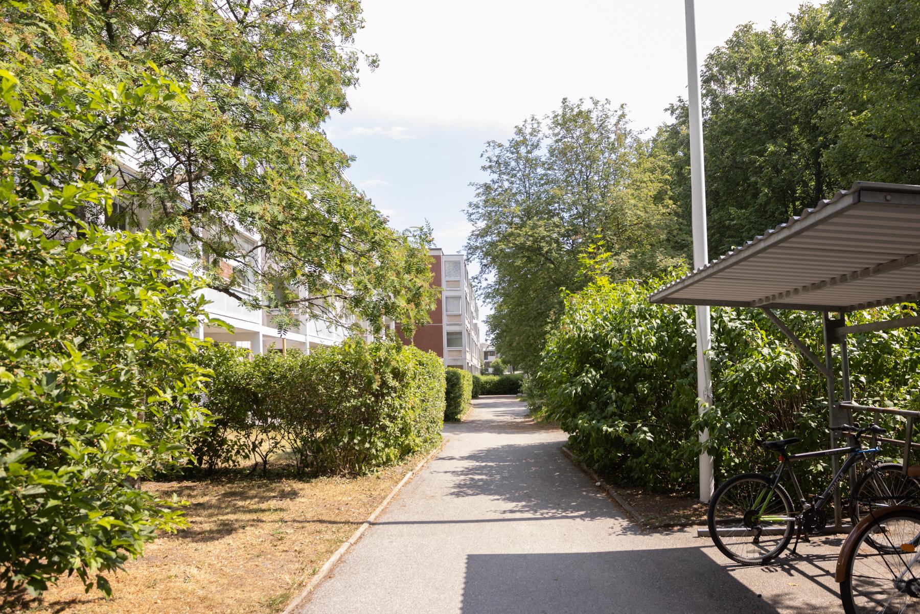 Taloyhtiön pihaa (vehreään aikaan)