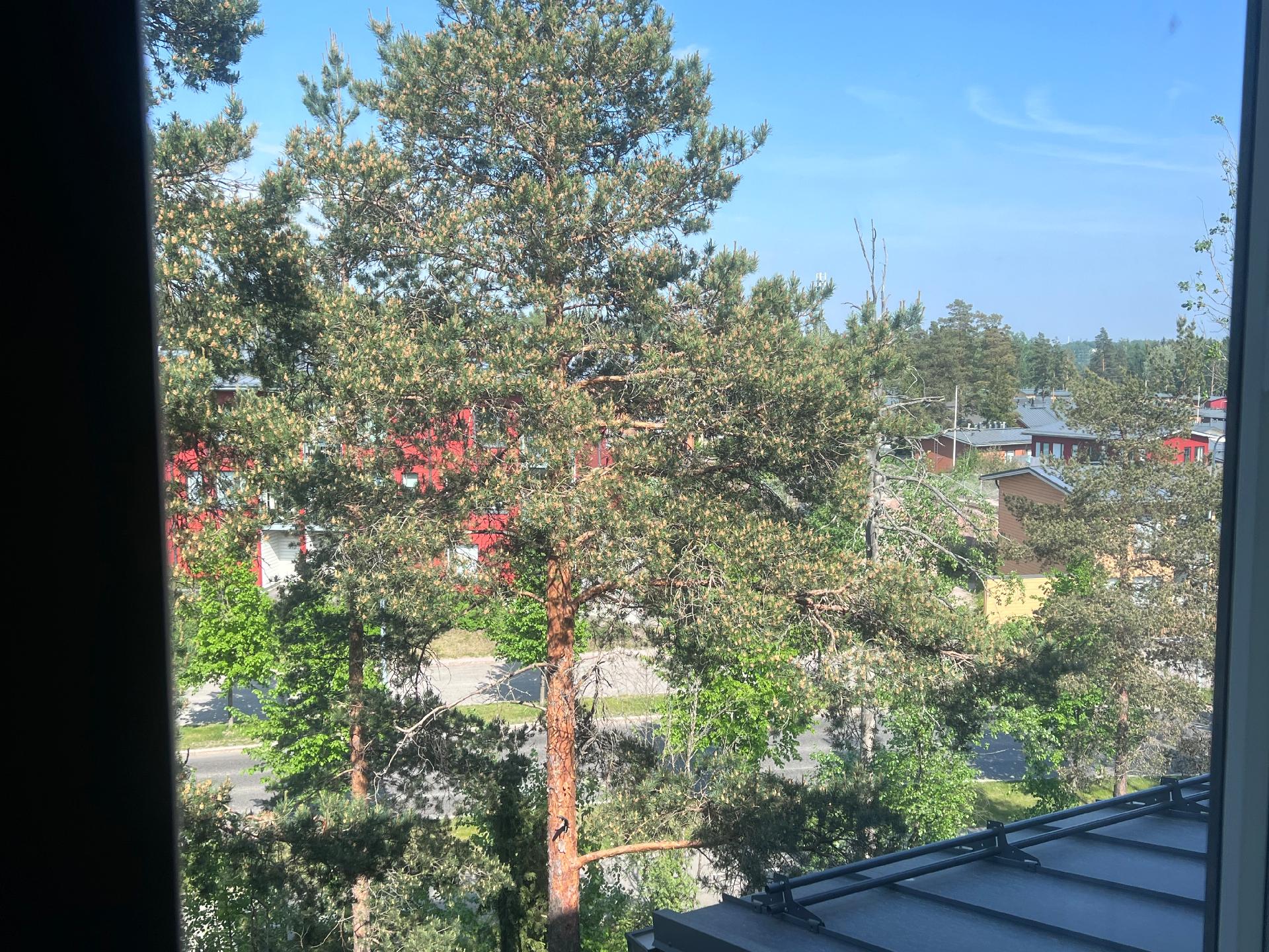 Näkymät F-talon ikkunoista