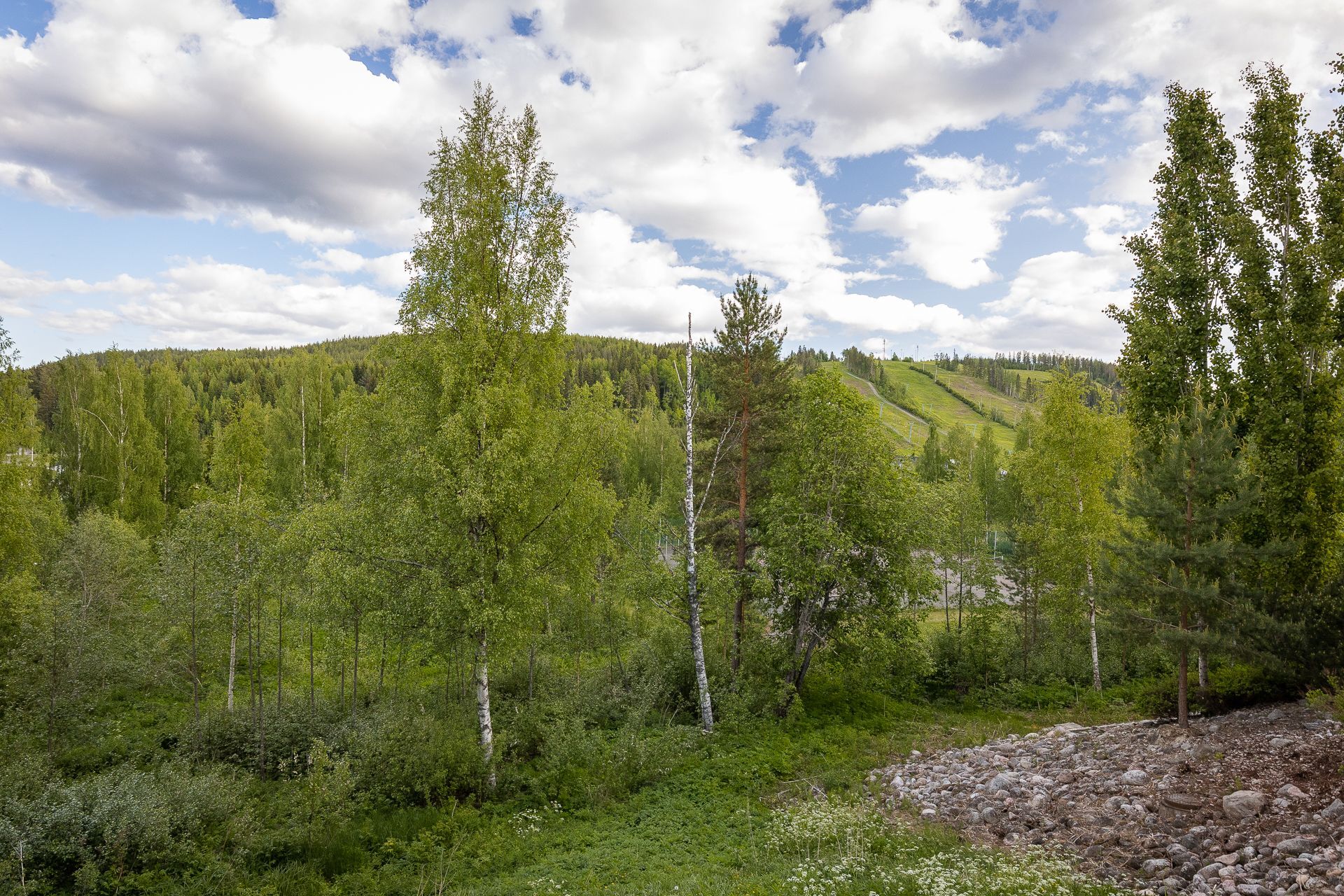 Honkarinne 5, Himos, Jämsä