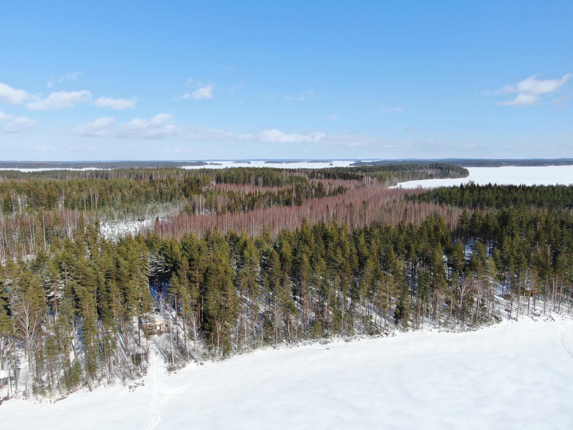 Vehkasalon saari tontti, Kerimäki, Savonlinna