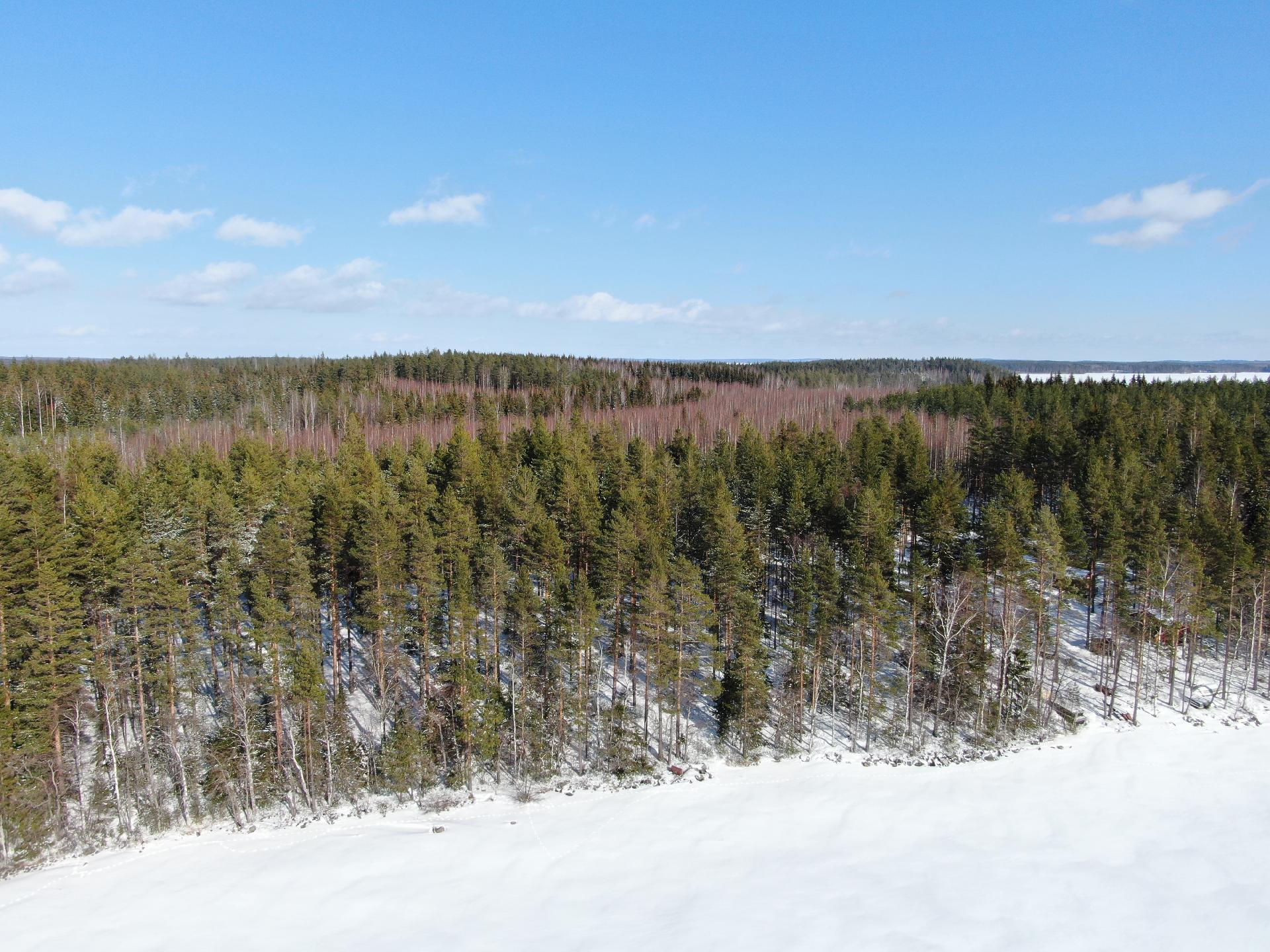 Vehkasalon saari tontti, Kerimäki, Savonlinna