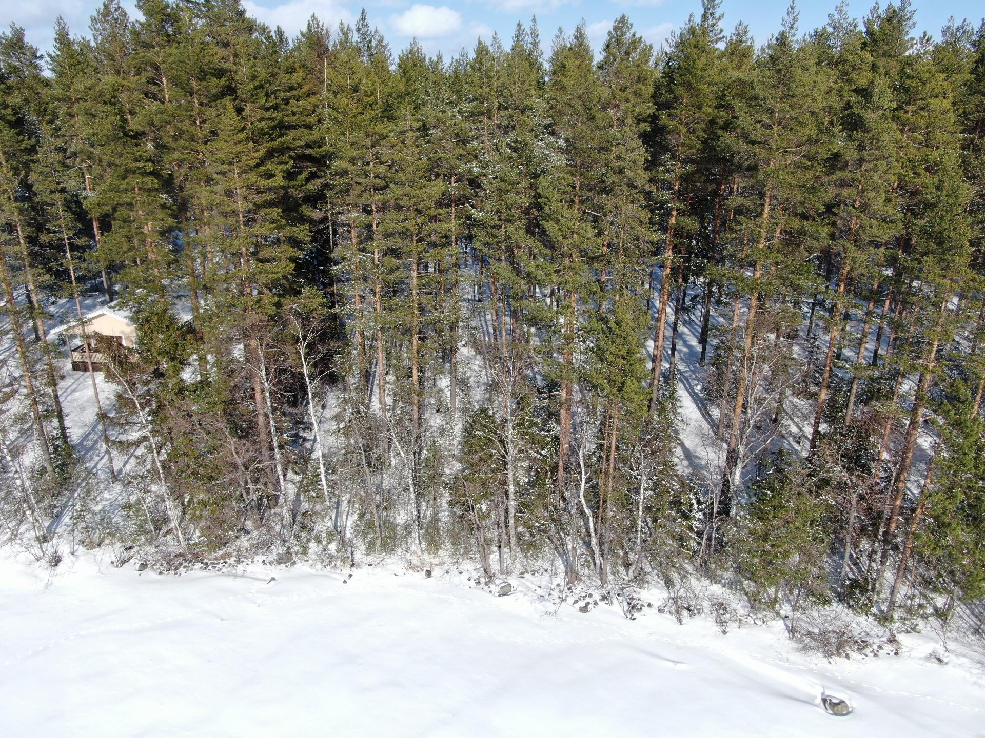 Vehkasalon saari tontti, Kerimäki, Savonlinna