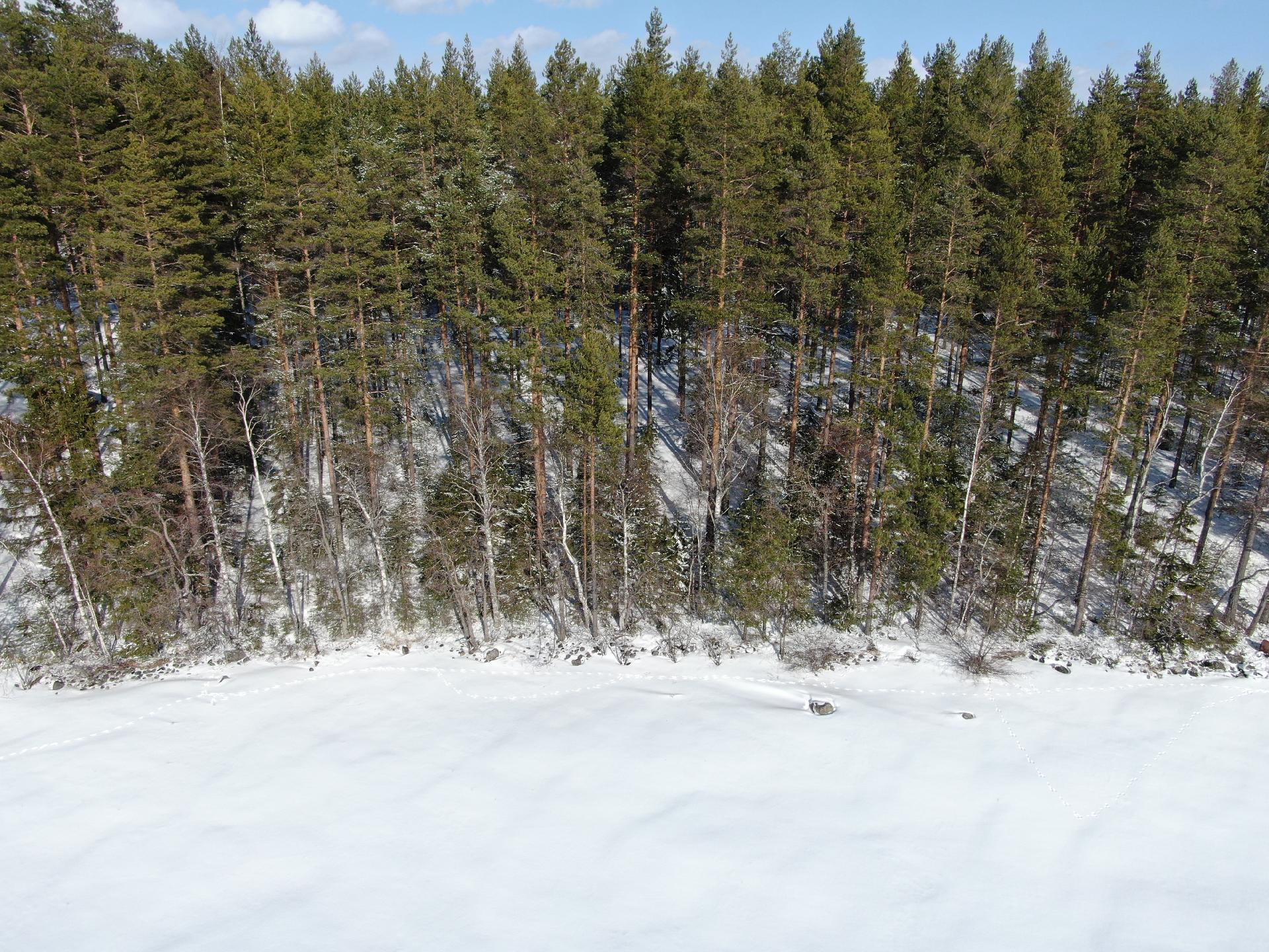 Vehkasalon saari tontti, Kerimäki, Savonlinna