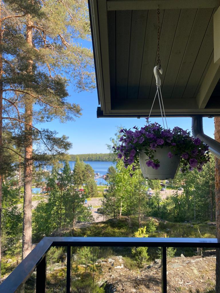 Kullasvuorenkuja 1, Jokioinen, Padasjoki