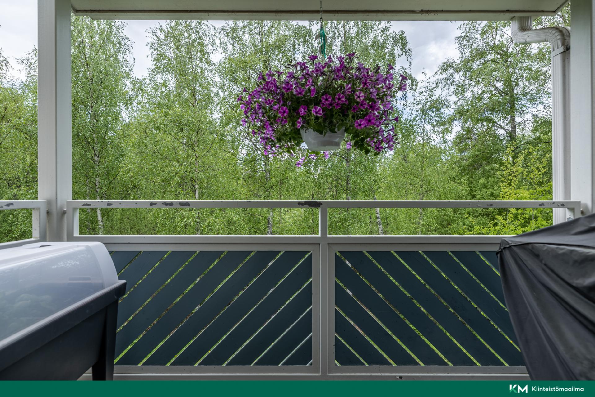 Pellontorpantie 8, Emola, Mikkeli