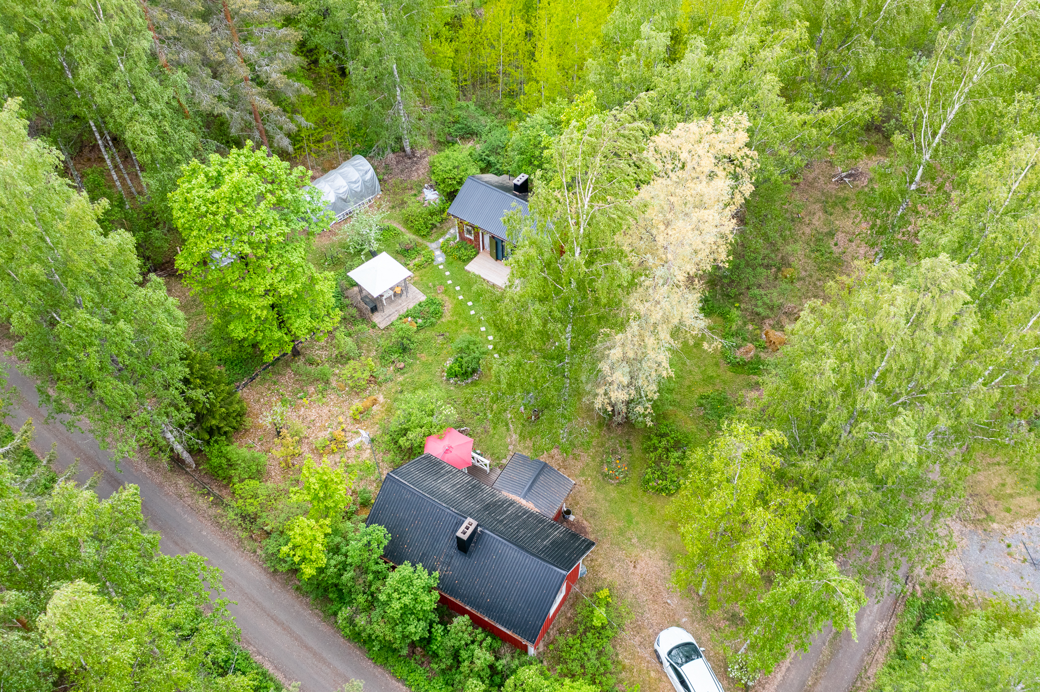 Väänteenpolku 1, Metsäkansa