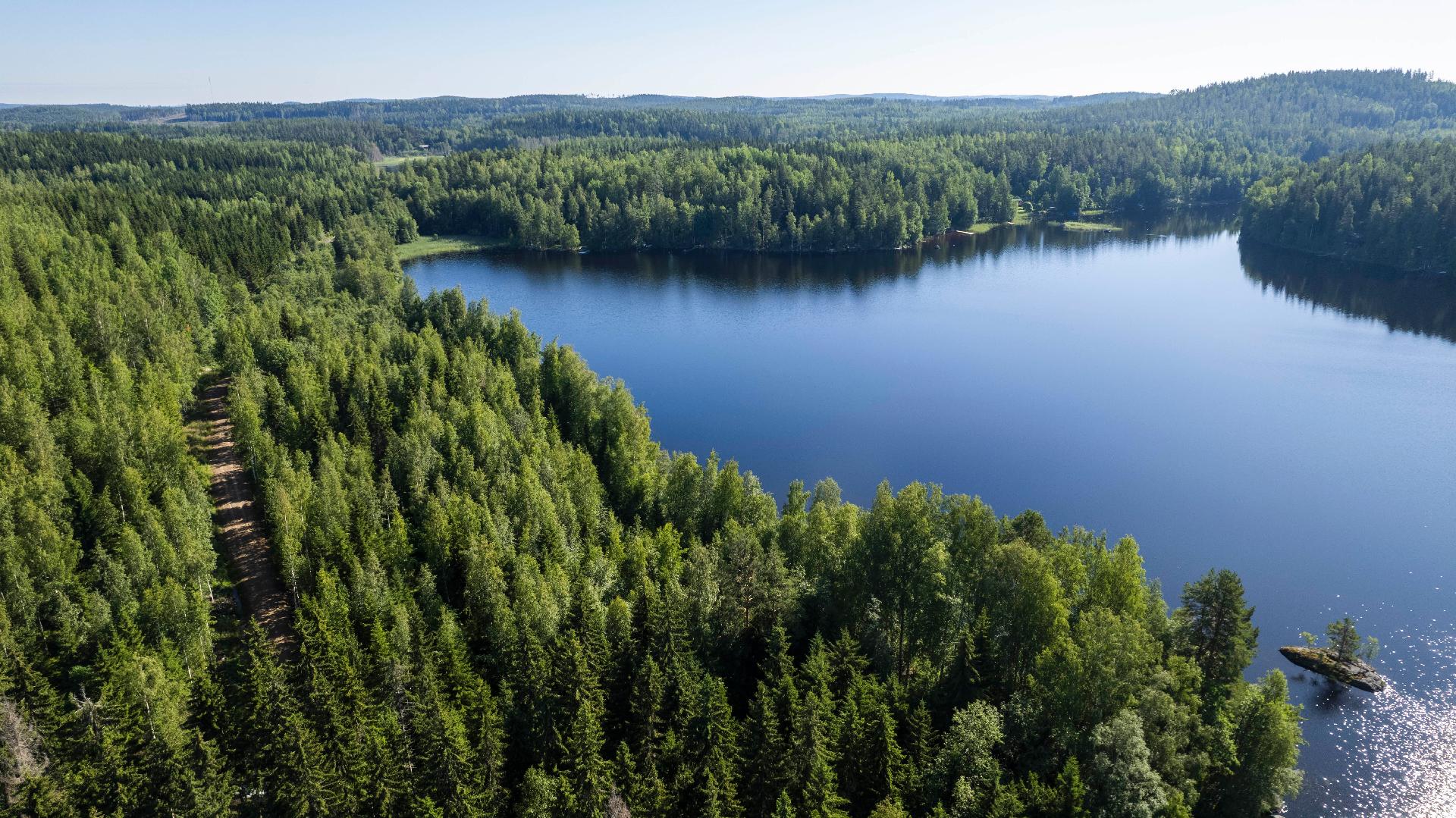 Vuohiniementie 186, Kangasniemi