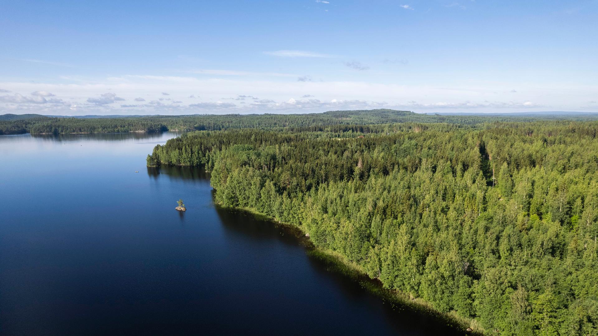 Vuohiniementie 186, Kangasniemi