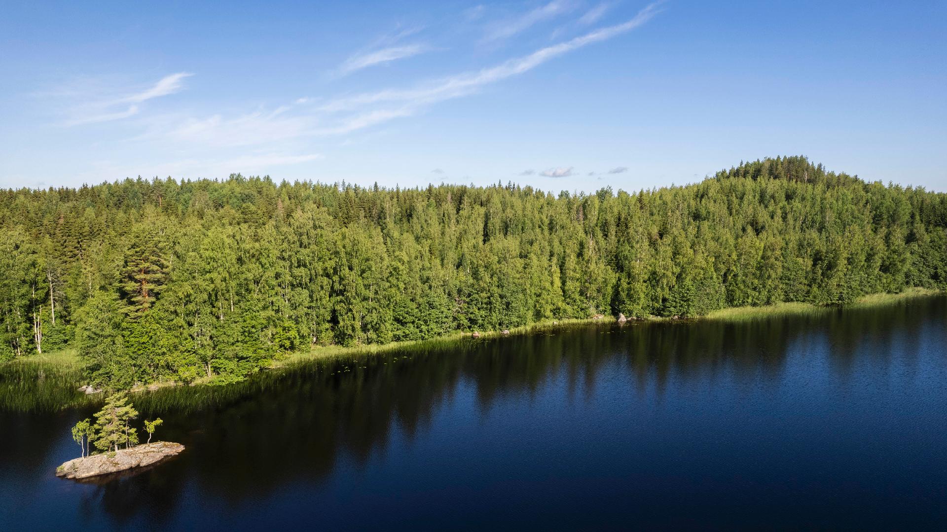 Vuohiniementie 186, Kangasniemi
