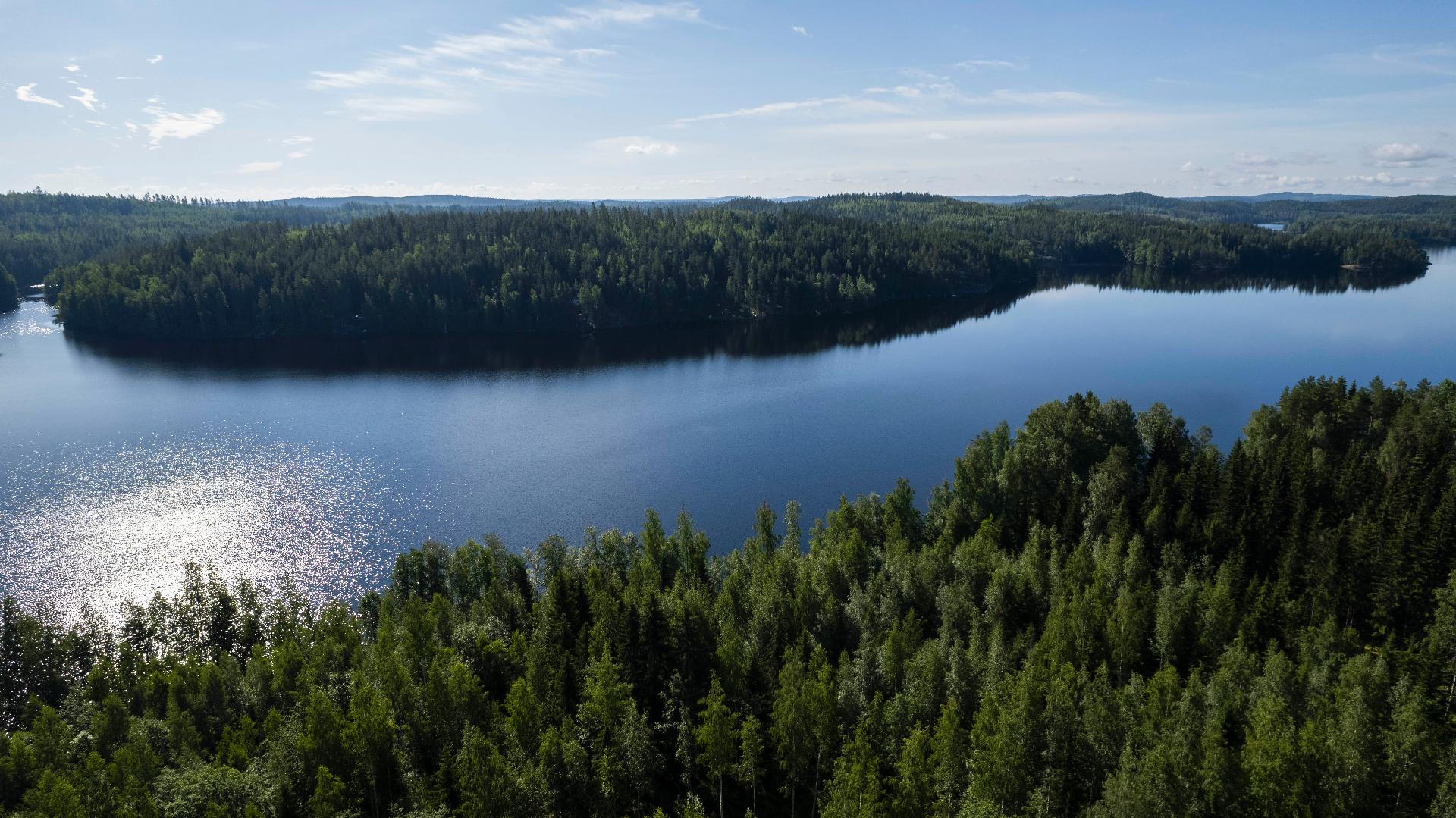 Vuohiniementie 186, Kangasniemi