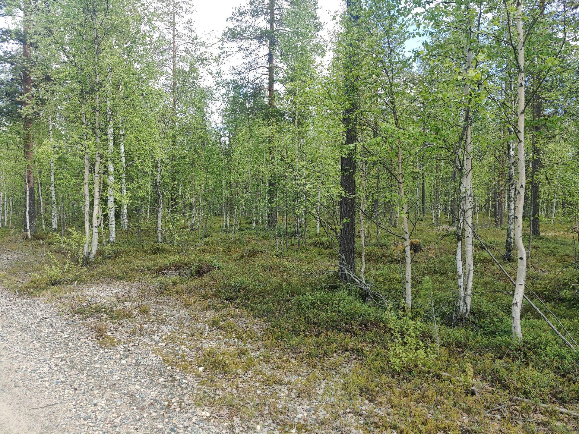 Akantie 5, Levi, Kittilä