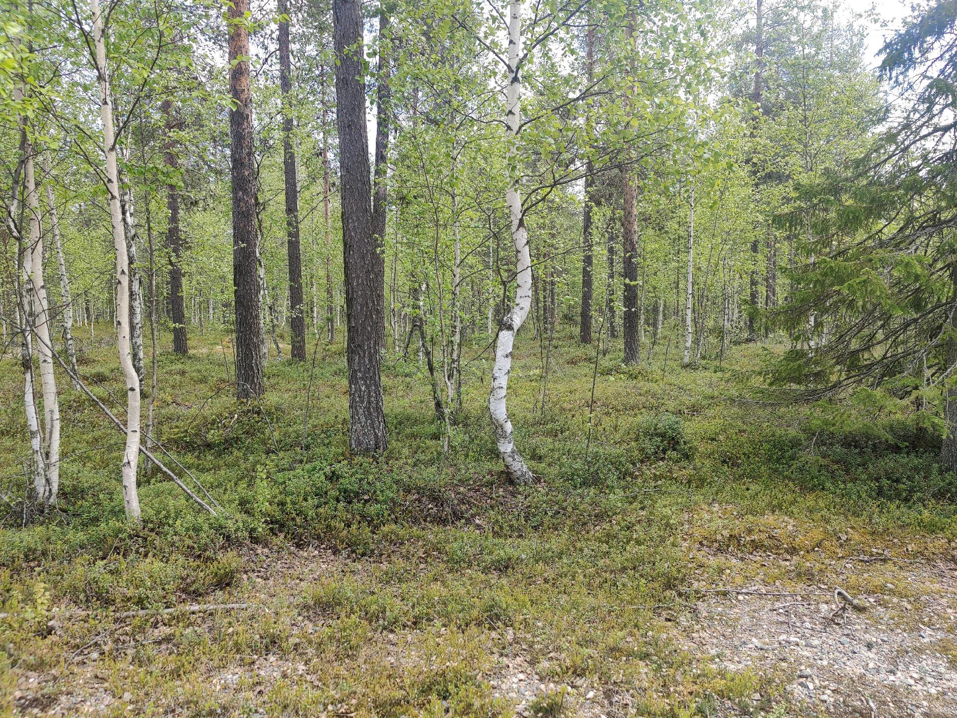 Akantie 5, Levi, Kittilä