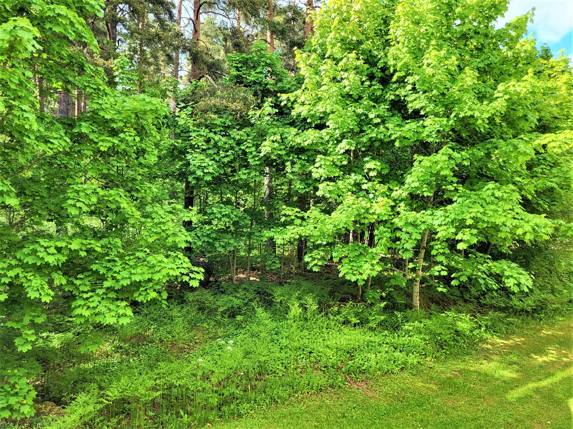 Ravimiehentie 6, Myllykoski, Kouvola