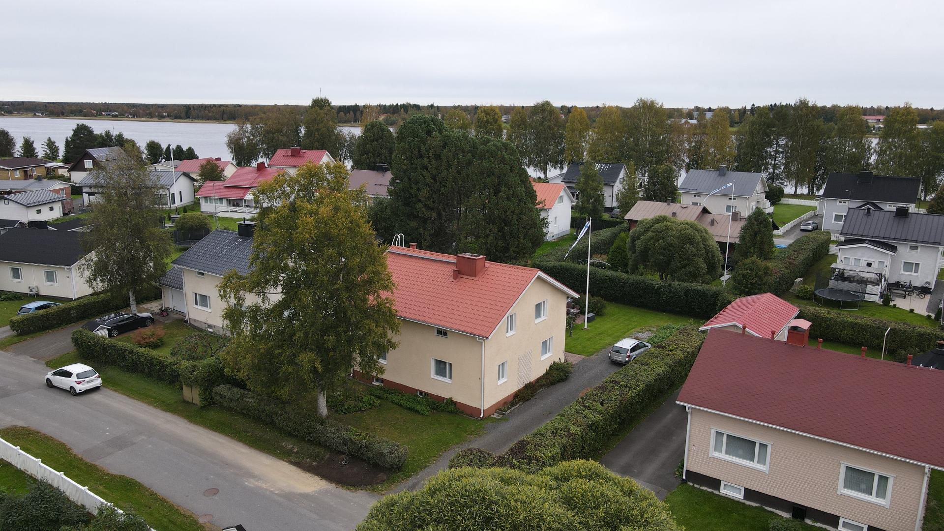 Kaunis vihreä piha ja alue