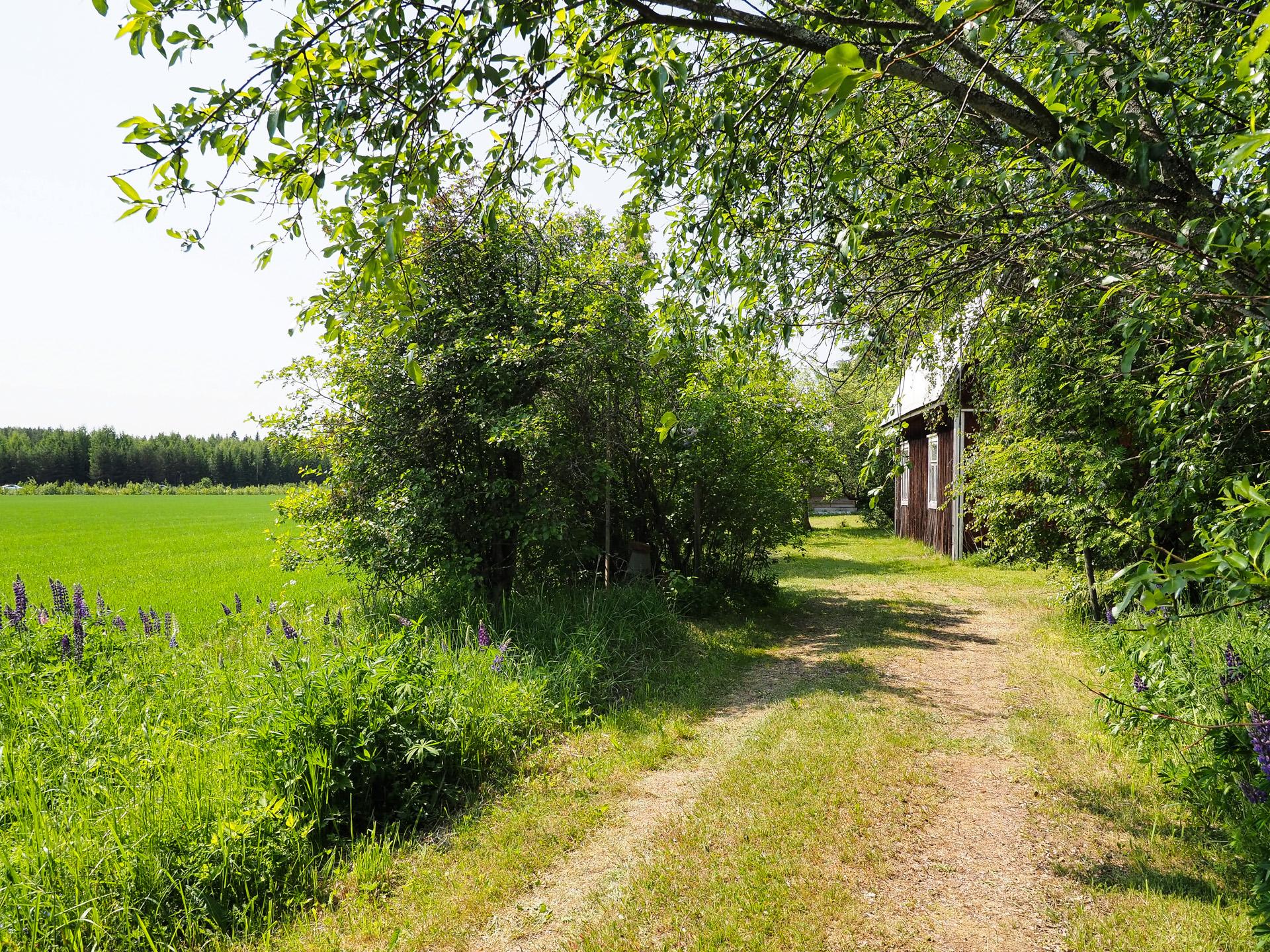 Uhkoilantie 201, Uhkoila, Janakkala
