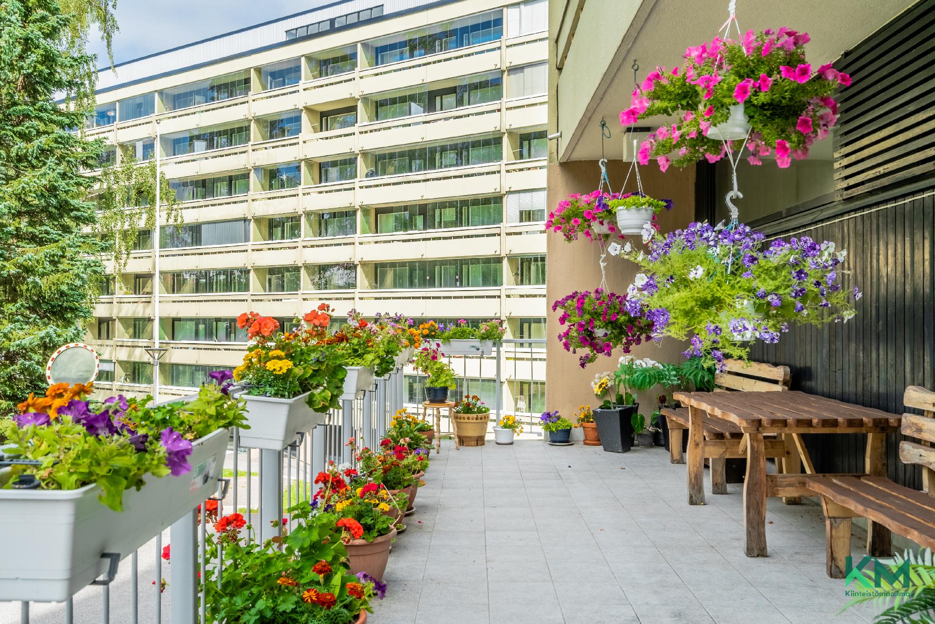 Kotikonnuntie 9, Kontula, Helsinki