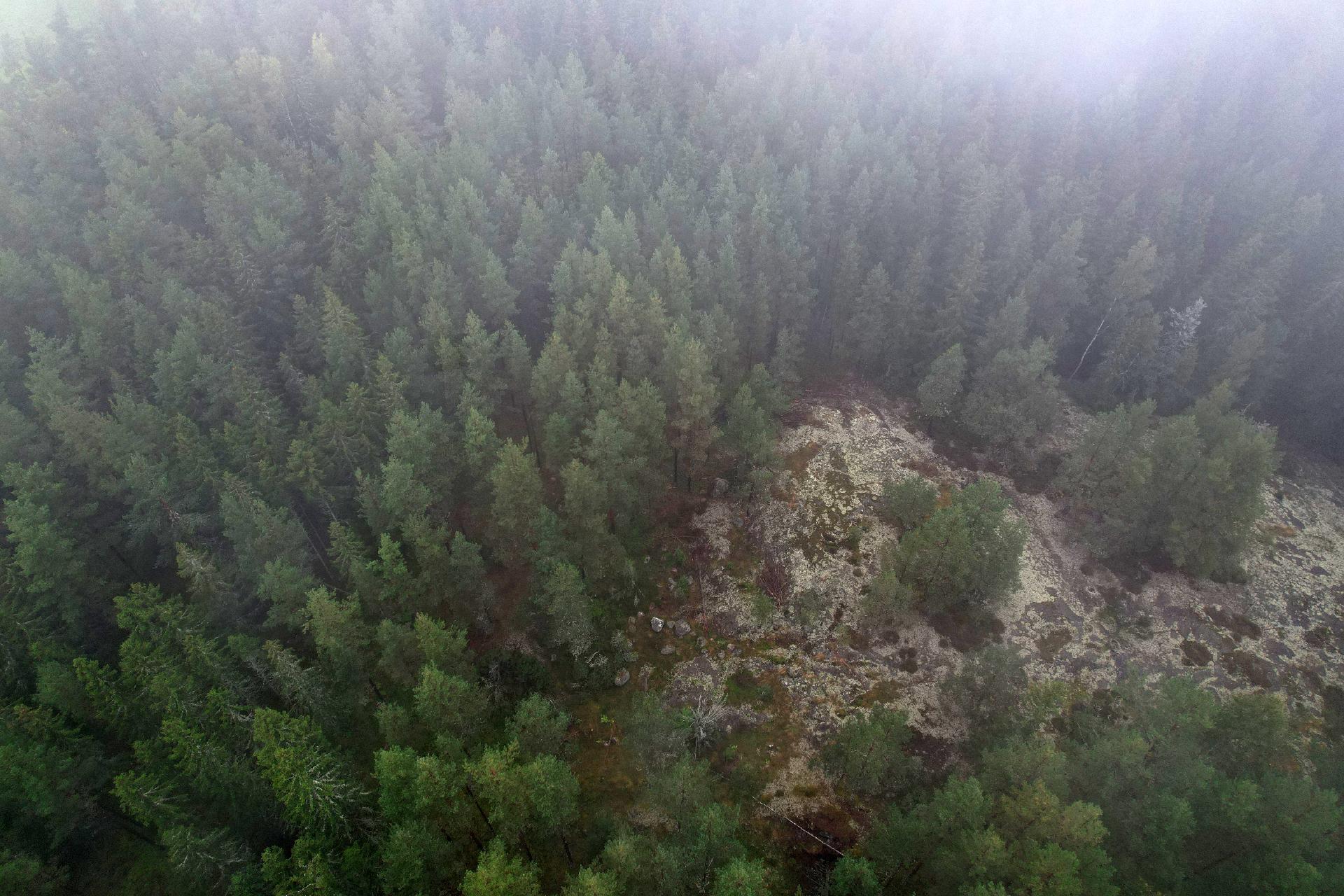 Svartträskintie 68, Tammisaari, Raasepori