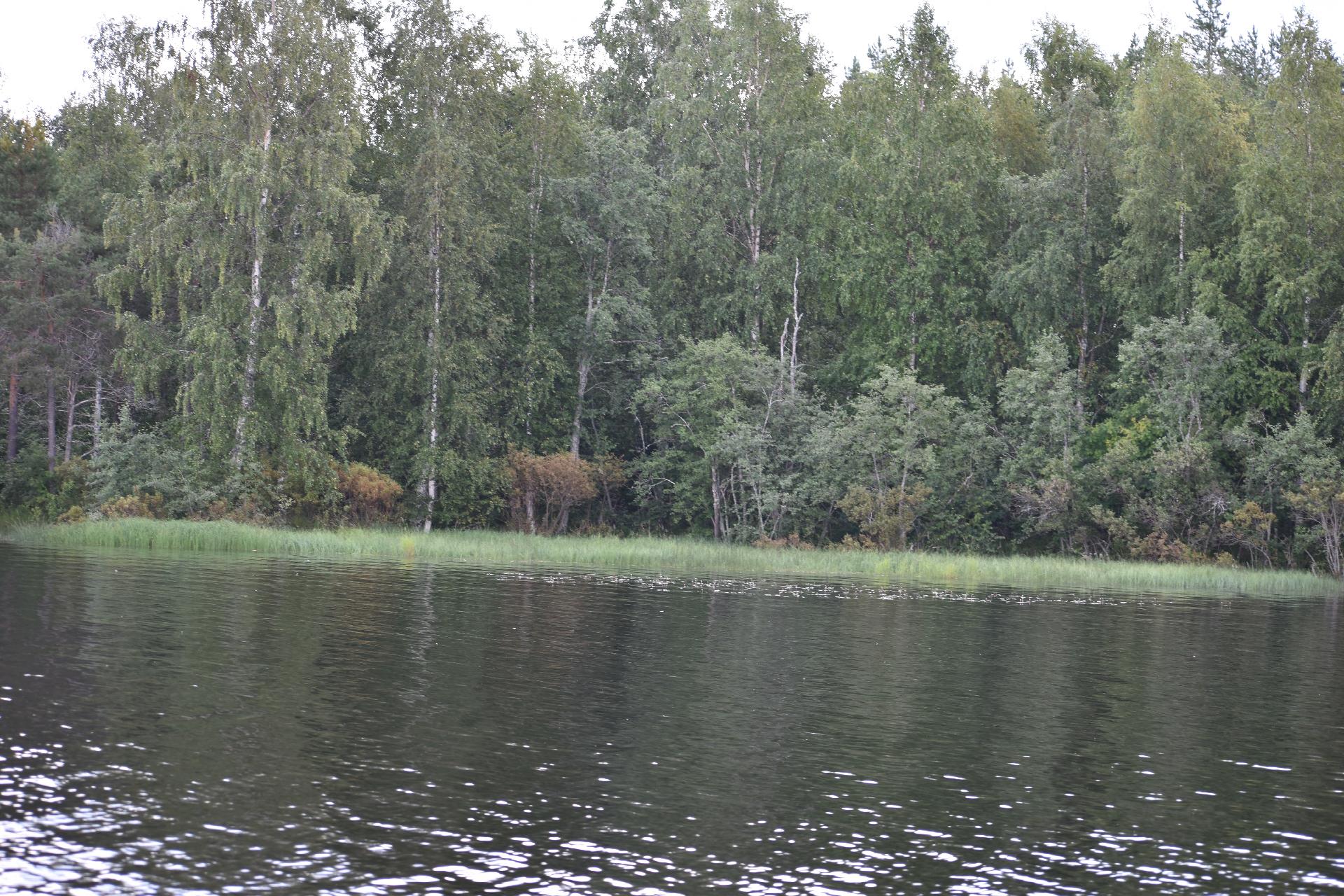 Lehtoniemenpolku 8, Ylisotkamo, Sotkamo