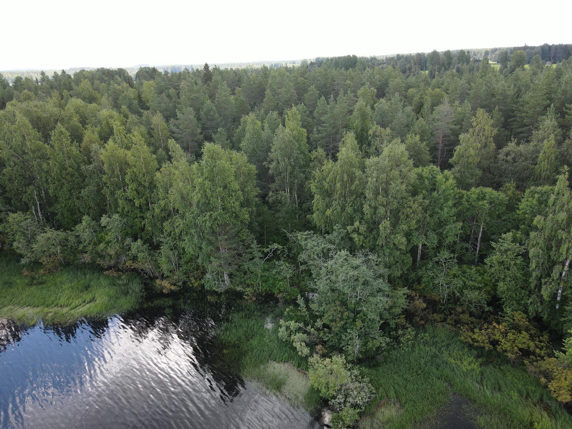 Lehtoniemenpolku 8, Ylisotkamo, Sotkamo