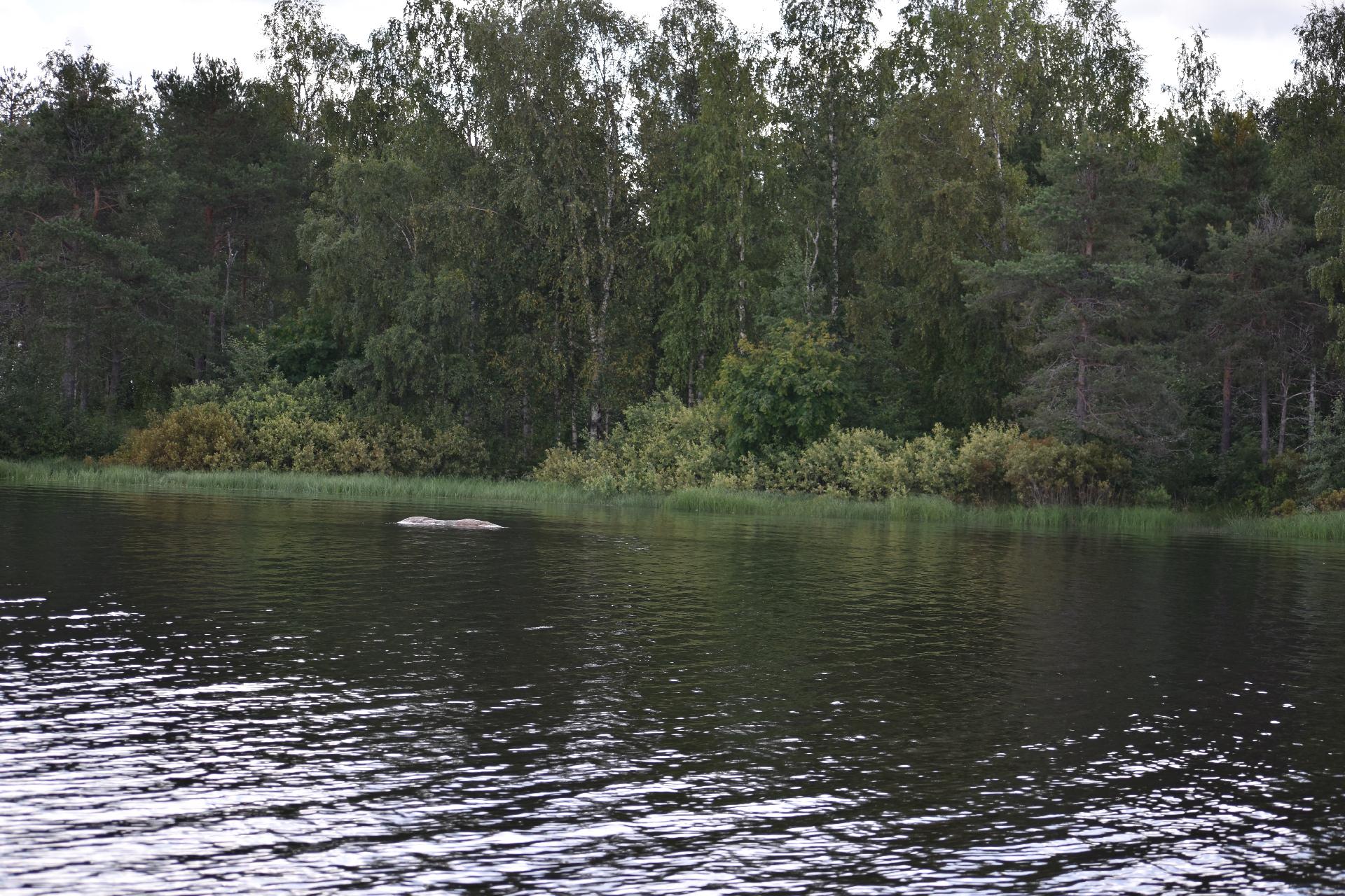 Lehtoniemenpolku 8, Ylisotkamo, Sotkamo