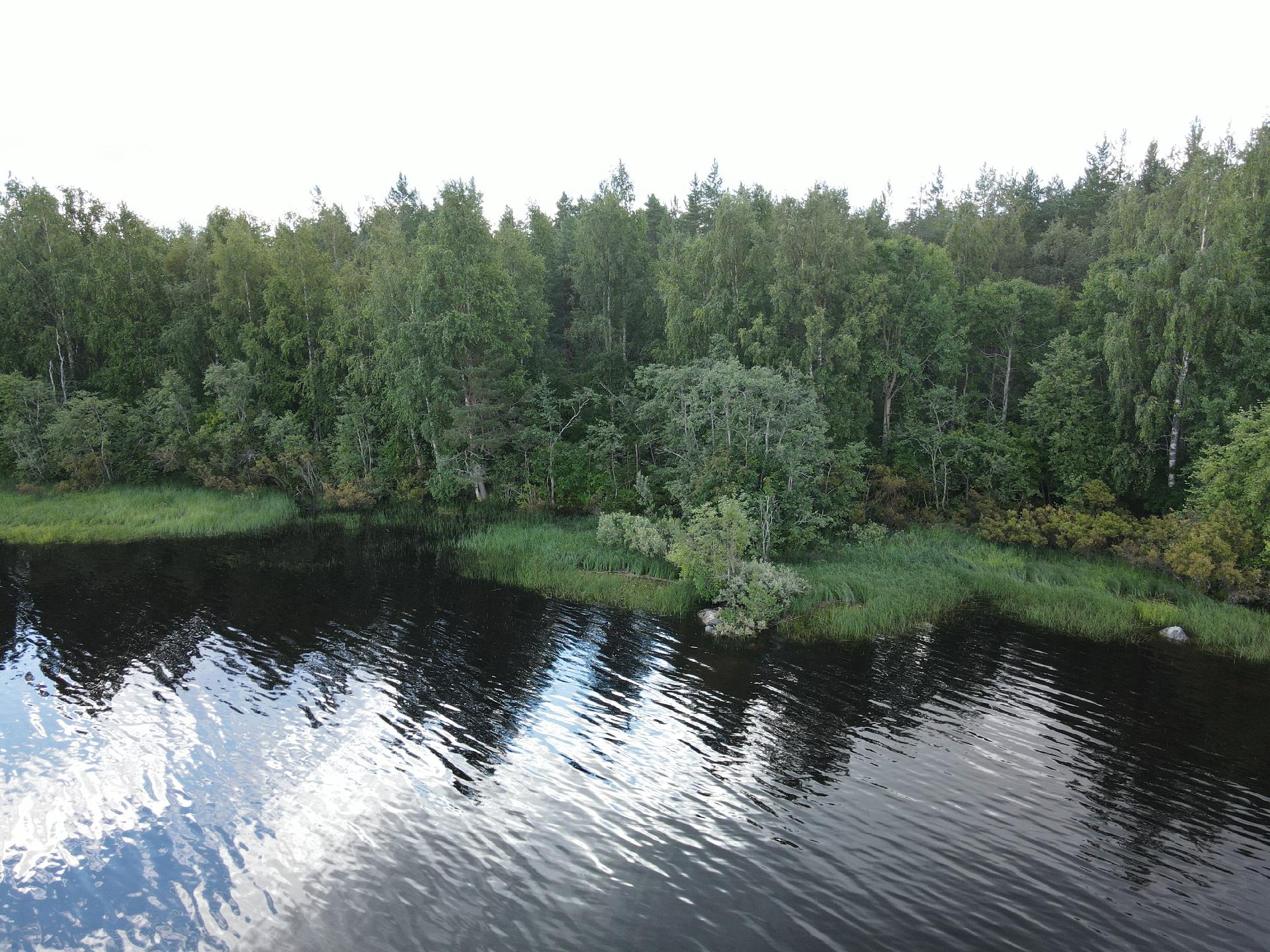 Lehtoniemenpolku 8, Ylisotkamo, Sotkamo